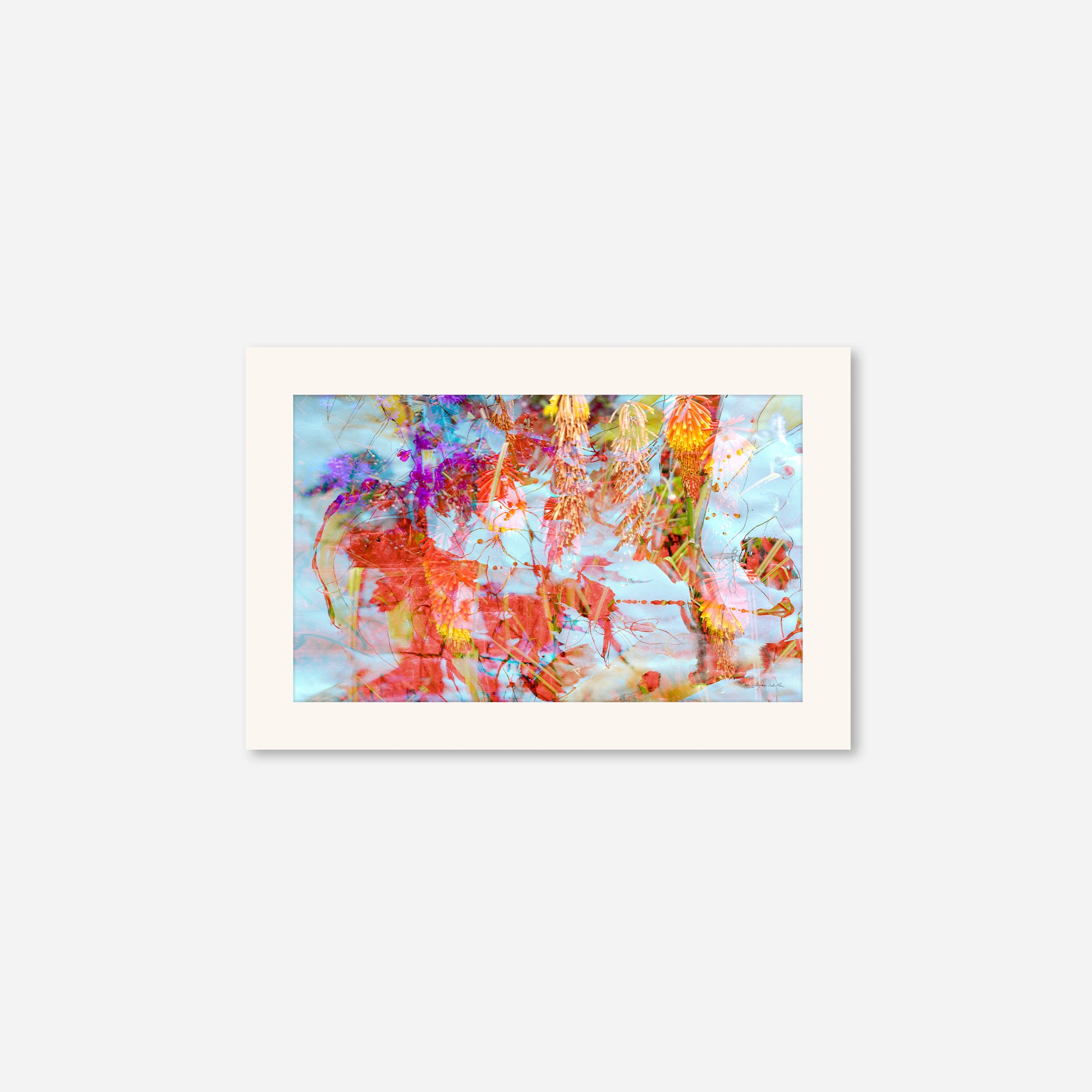 Entwined  no.3