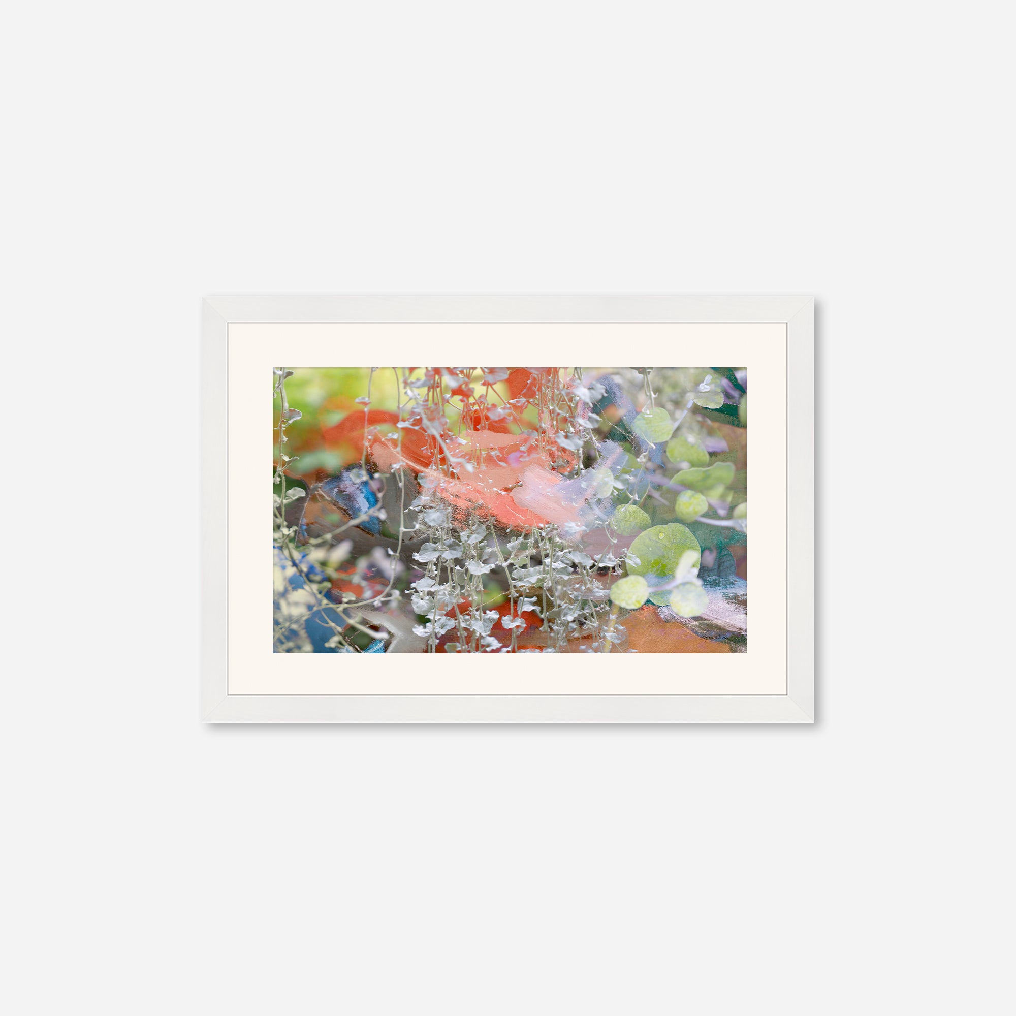 Entwined  no.1