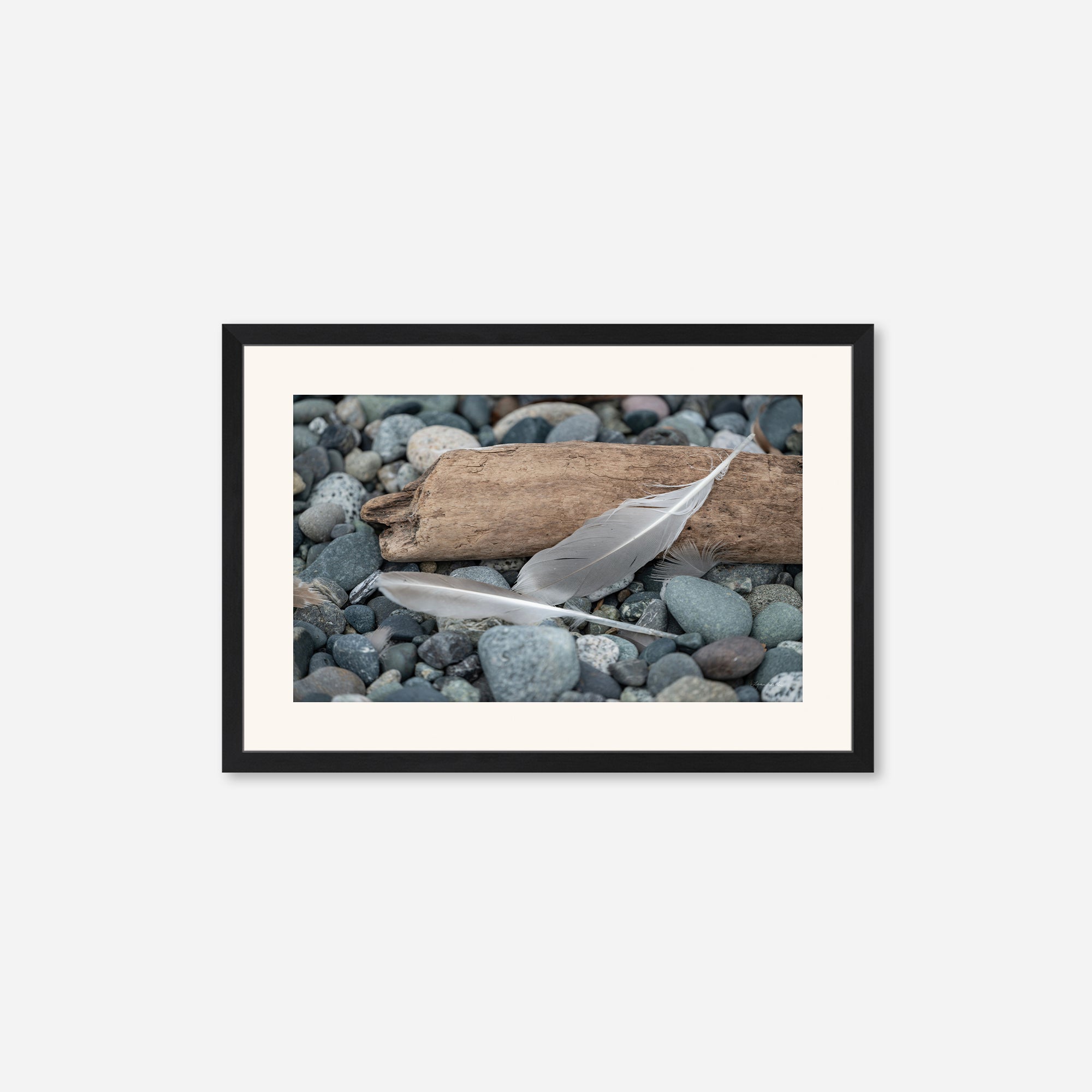 Feathers no. 14