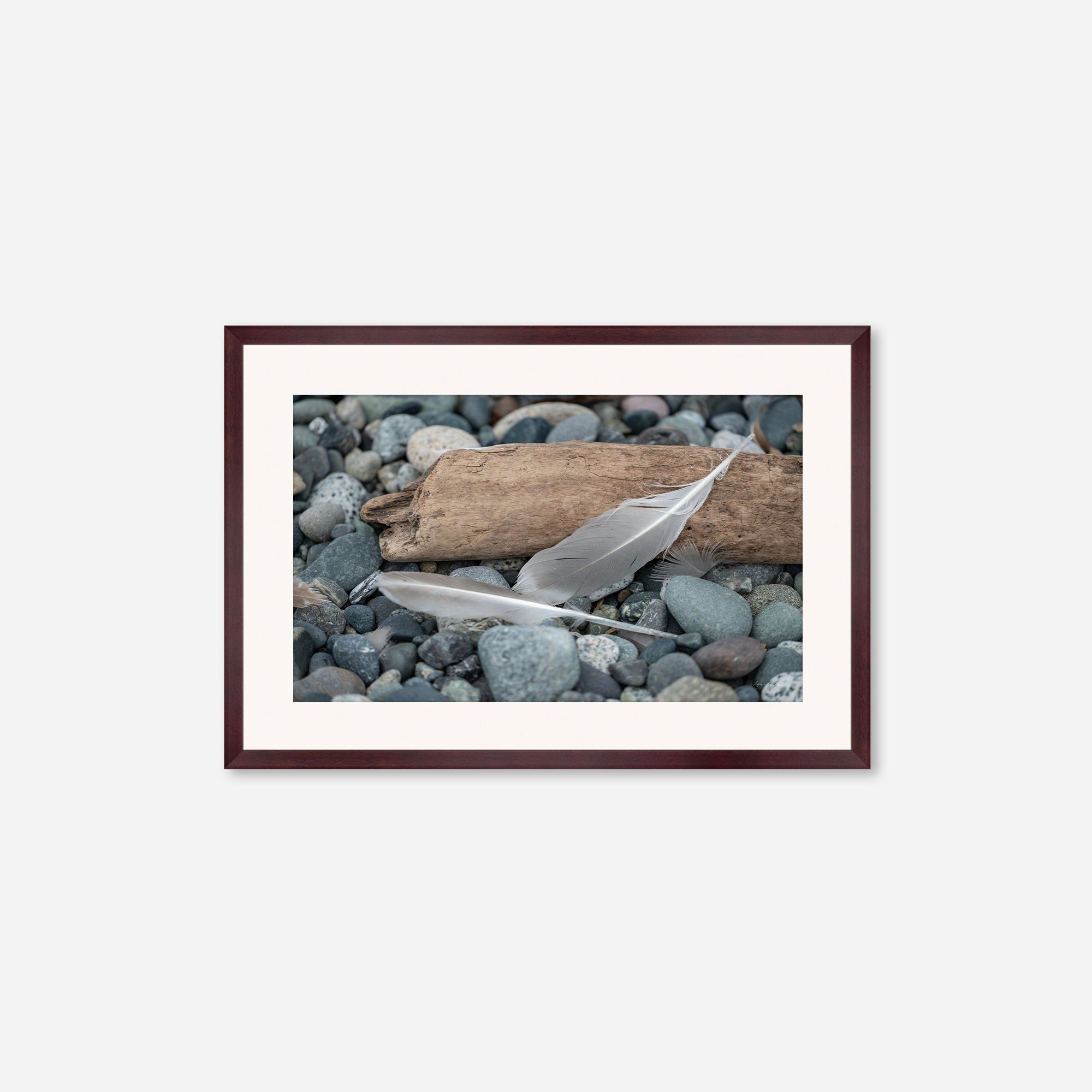 Feathers no. 14