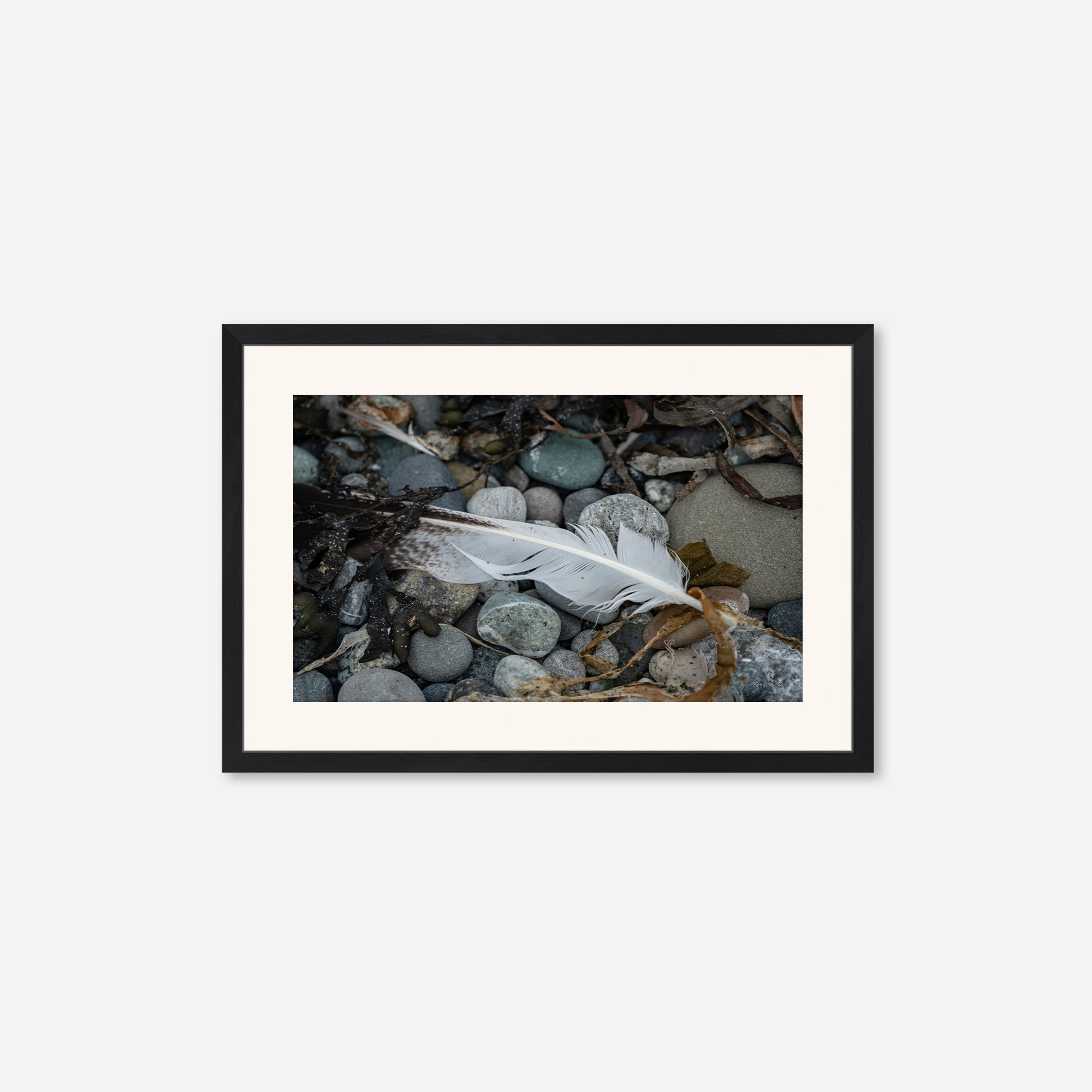 Feathers no. 9