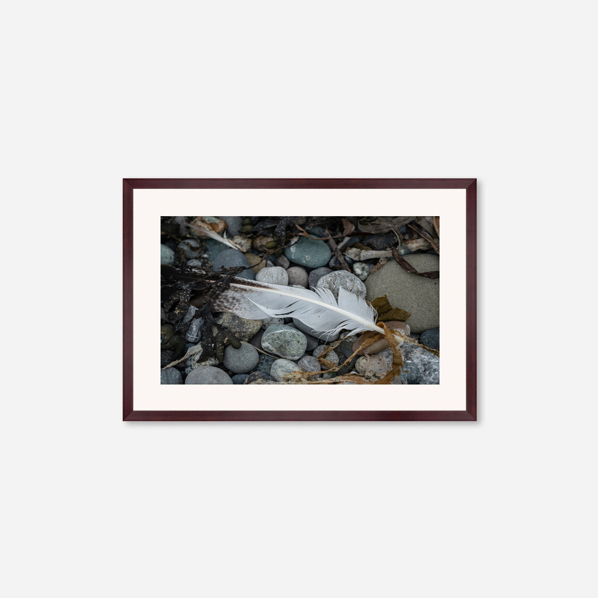 Feathers no. 9