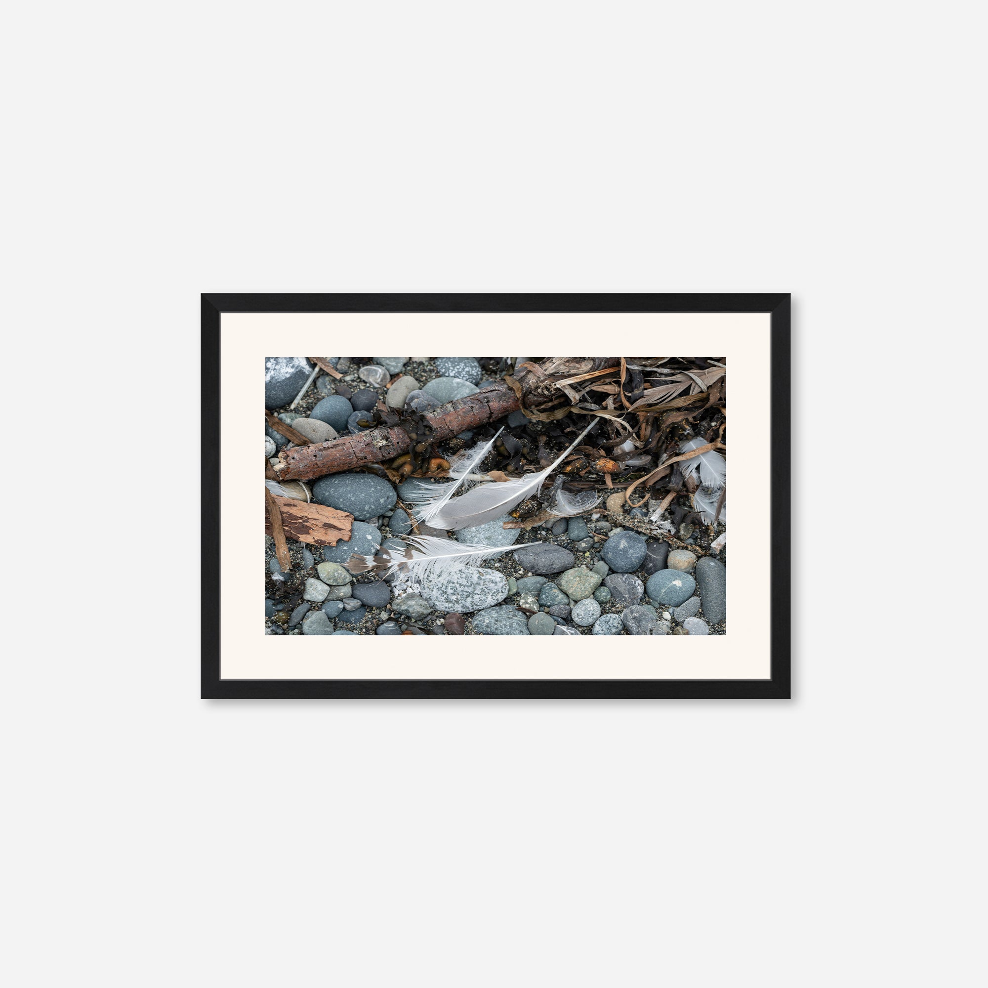 Feathers no. 8