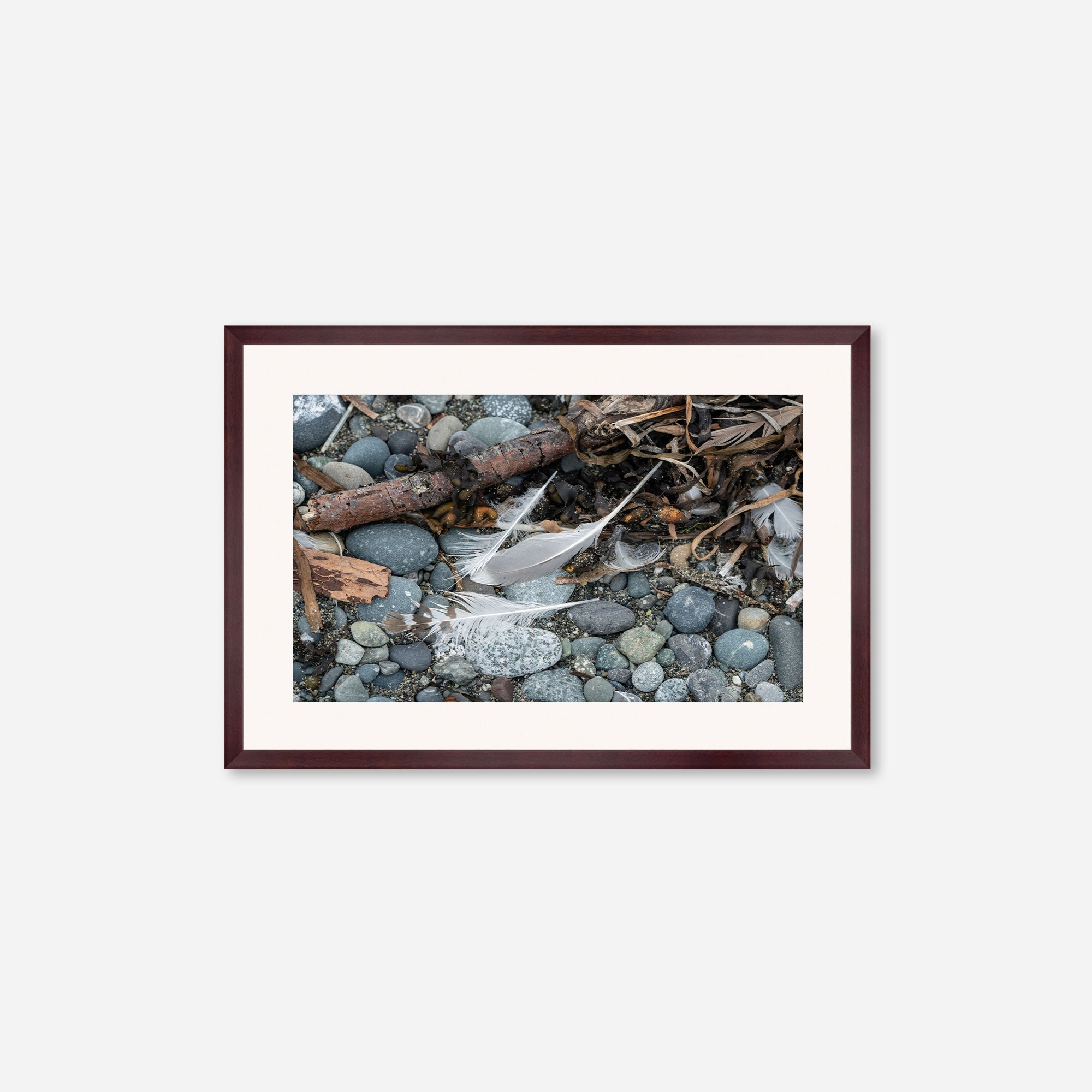 Feathers no. 8