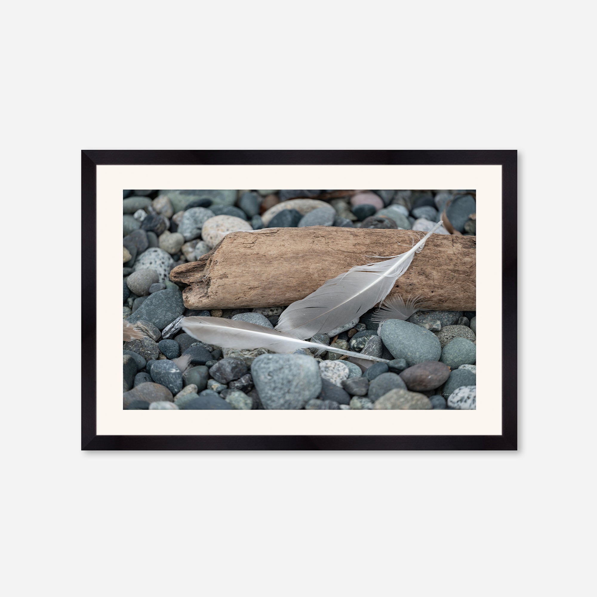 Feathers no. 14