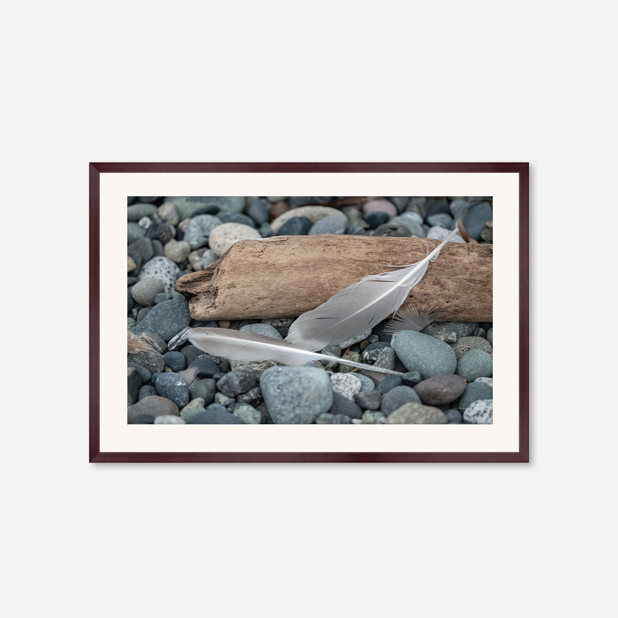 Feathers no. 14