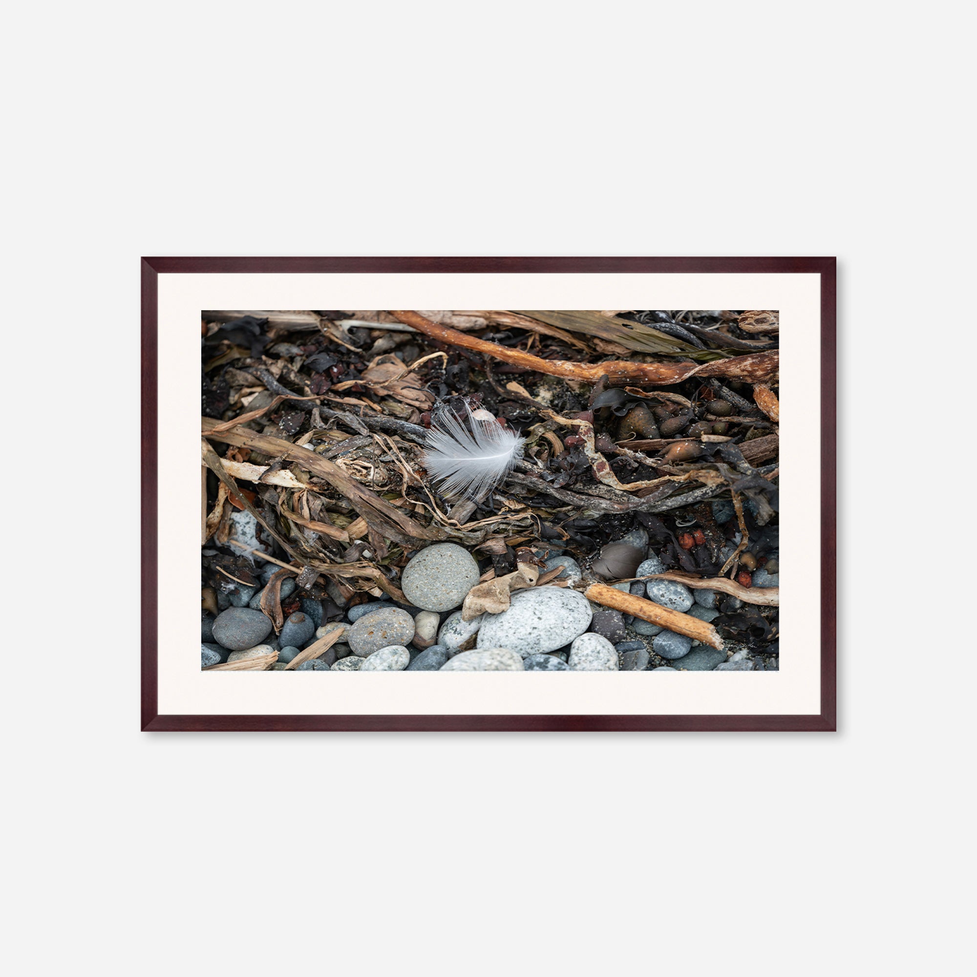 Feathers no. 11