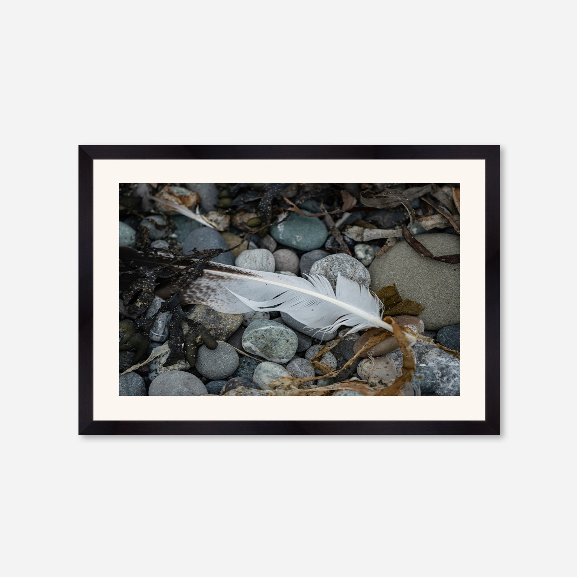 Feathers no. 9