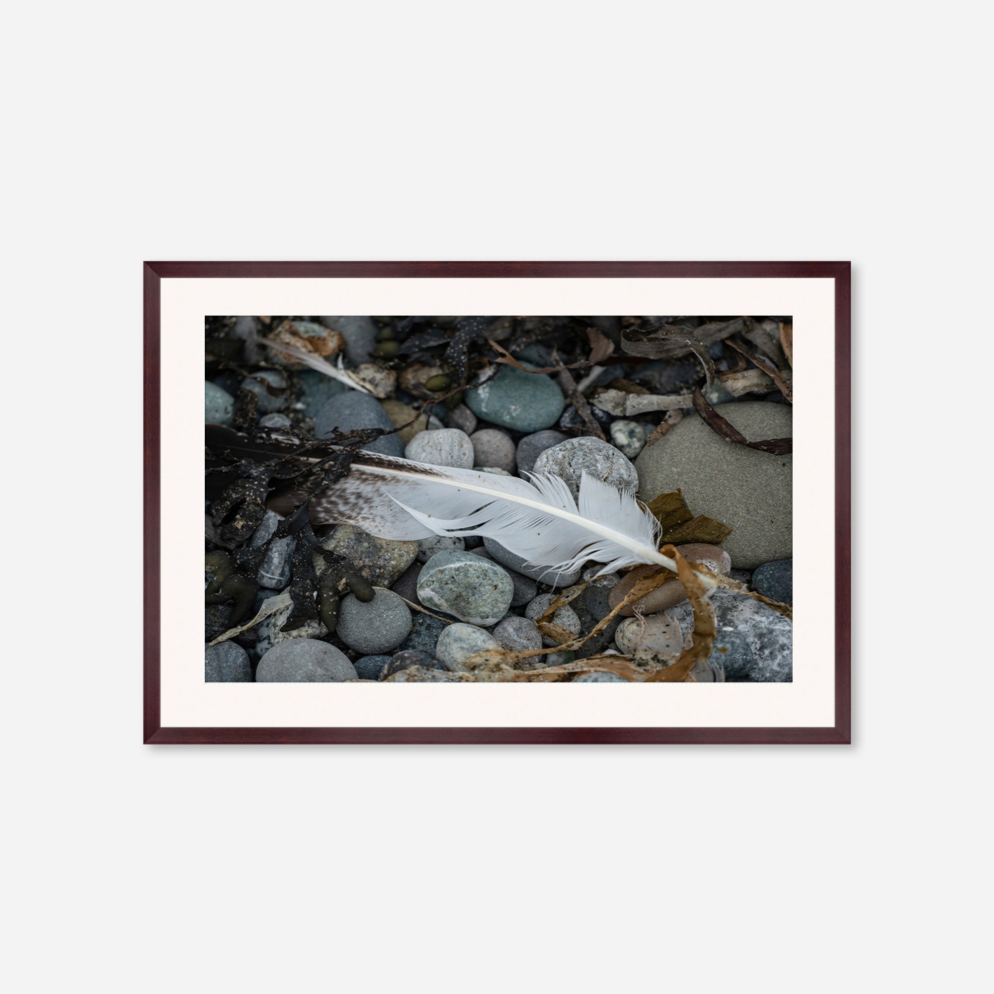 Feathers no. 9