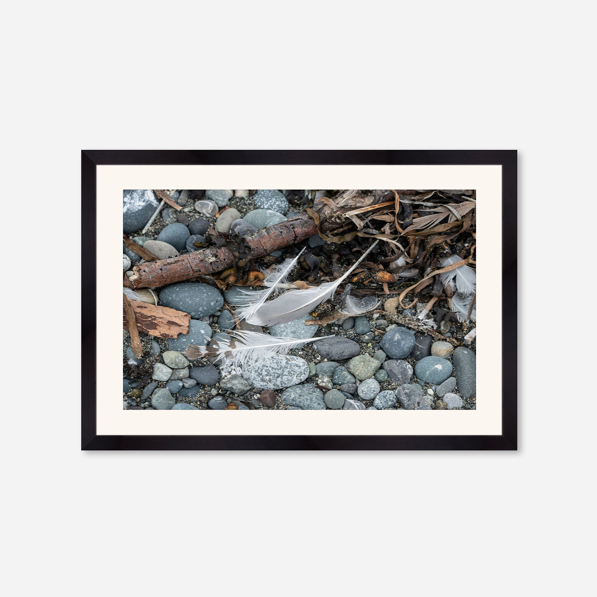 Feathers no. 8