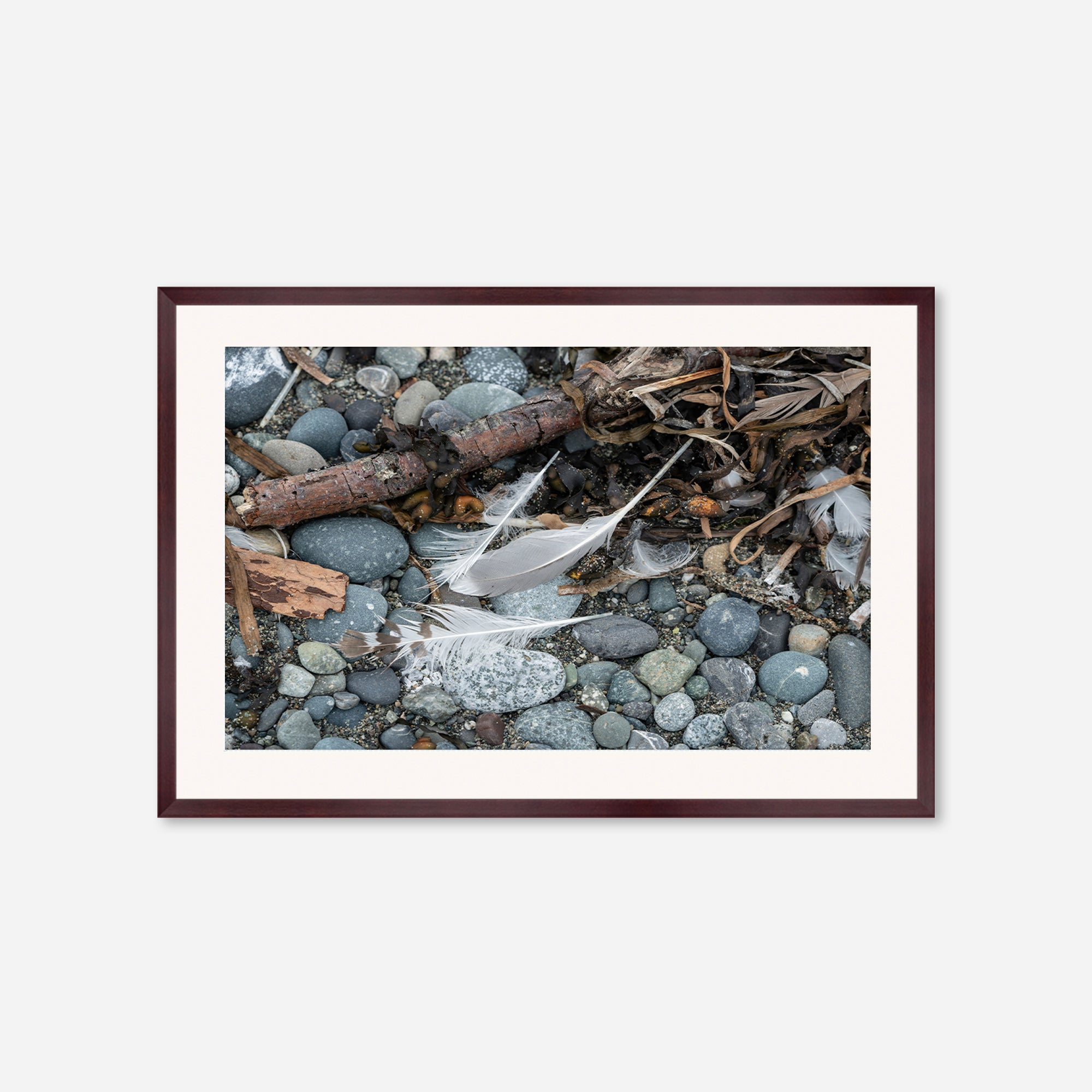 Feathers no. 8
