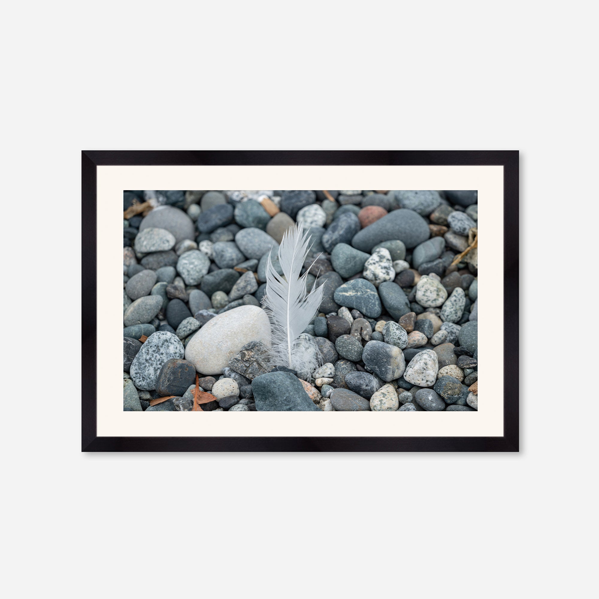 Feathers no. 4