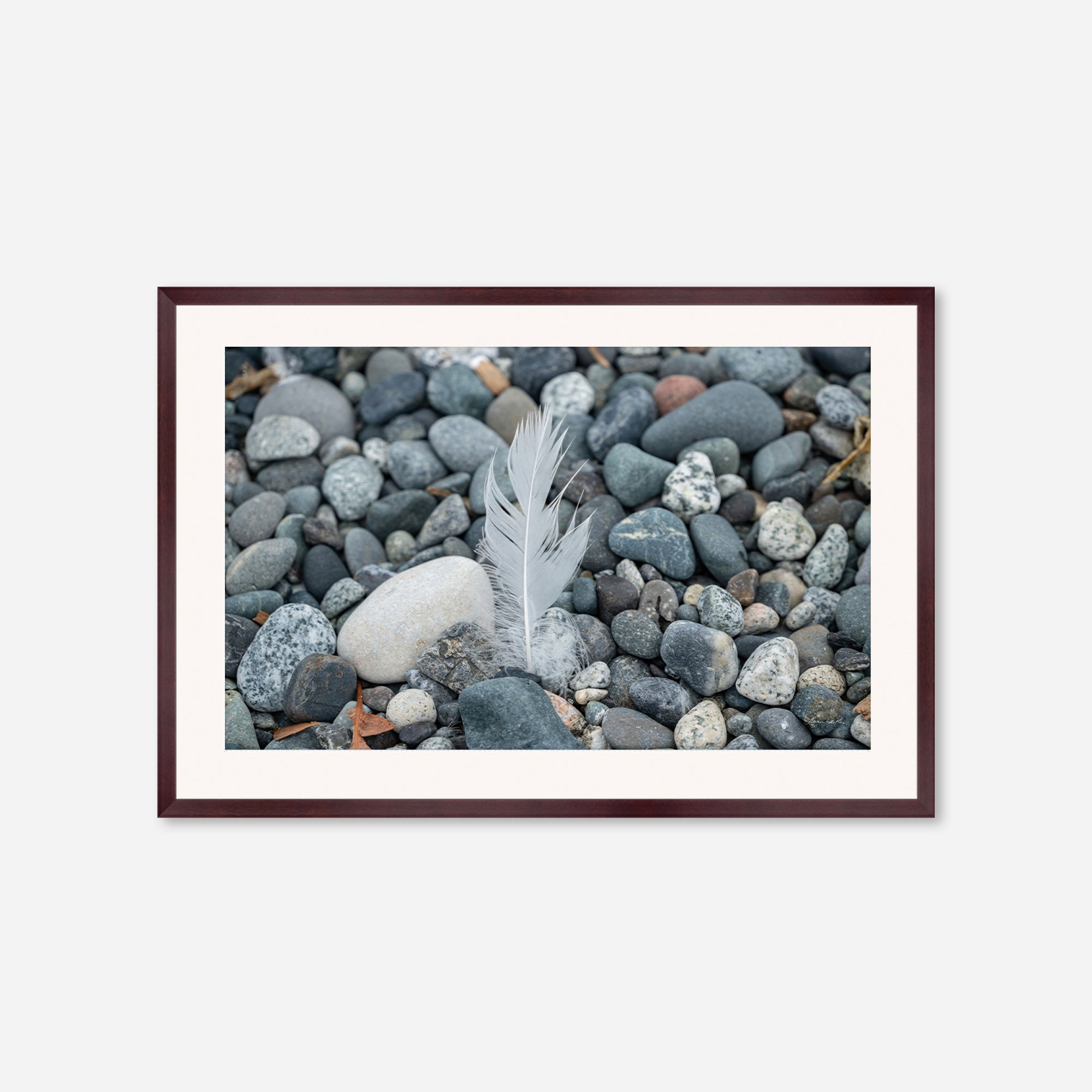 Feathers no. 4