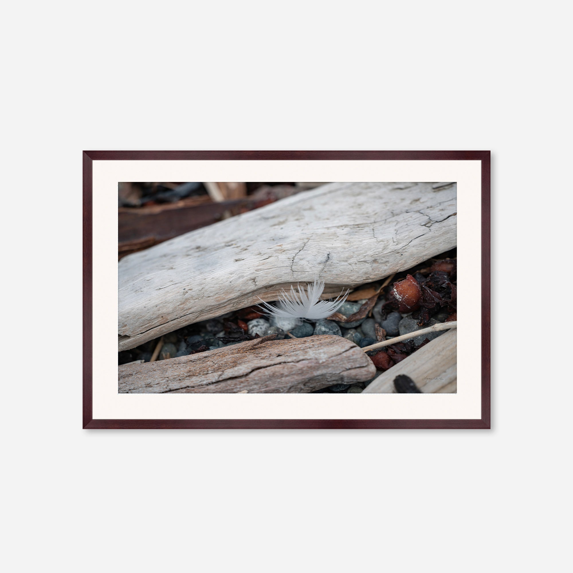 Feathers no. 3