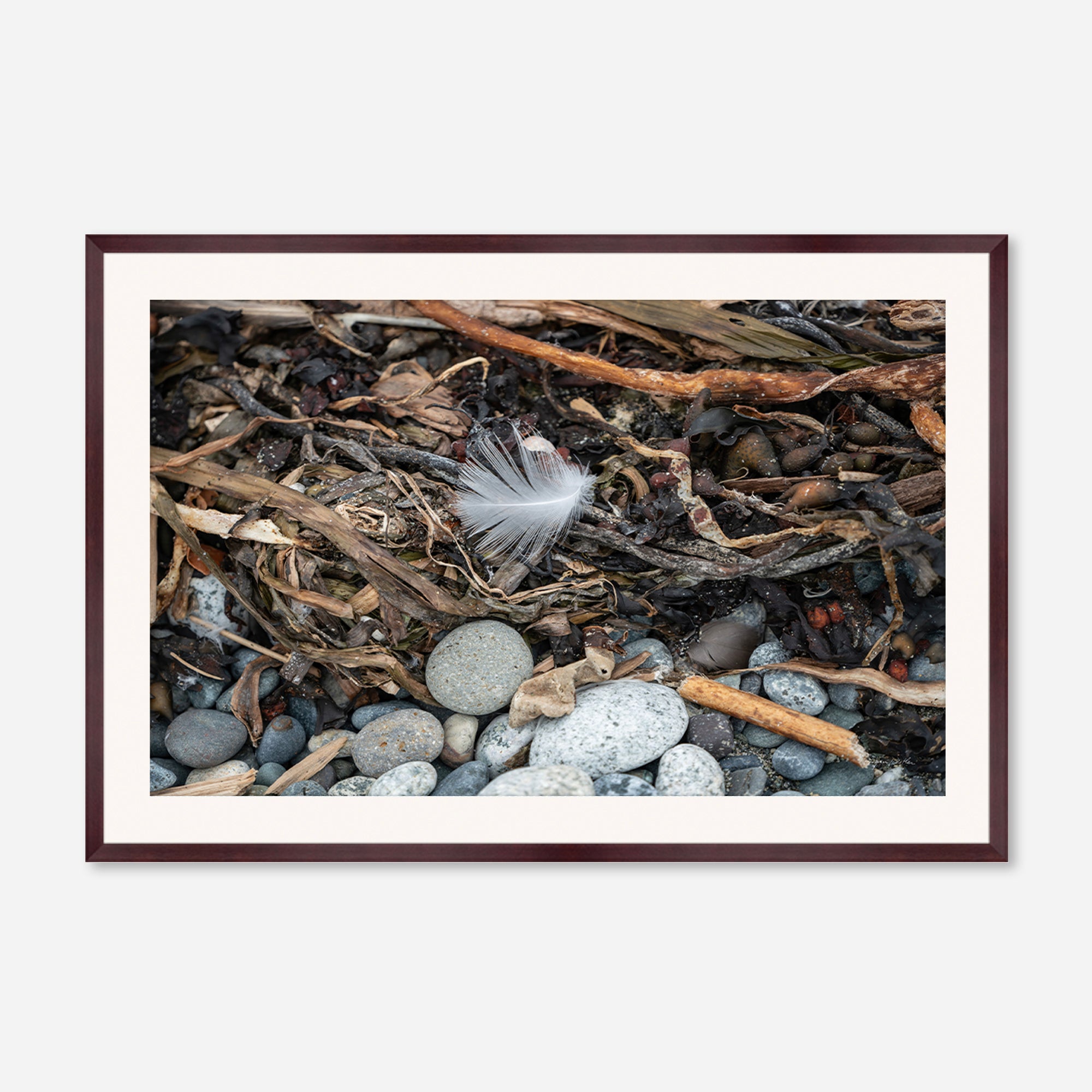 Feathers no. 11