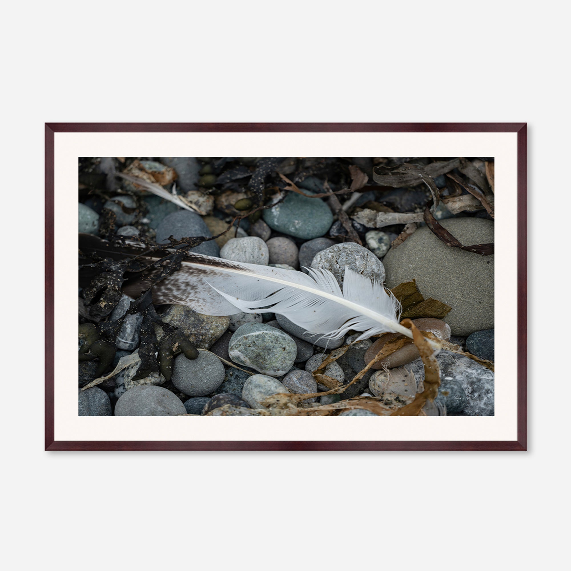 Feathers no. 9