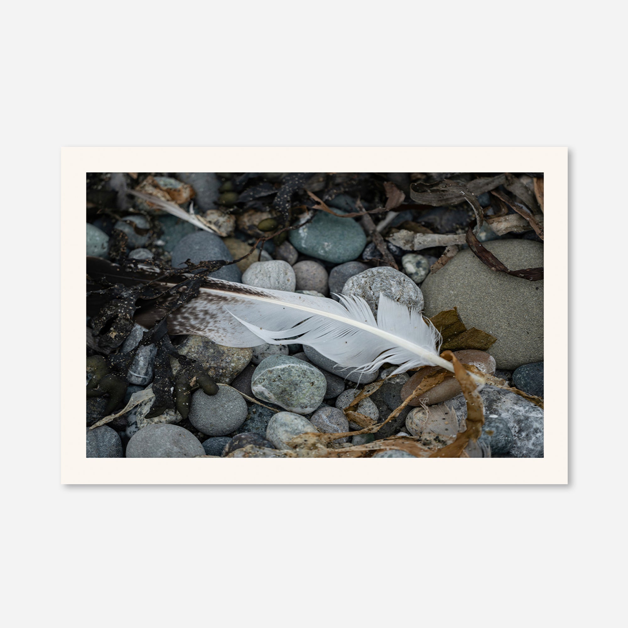 Feathers no. 9