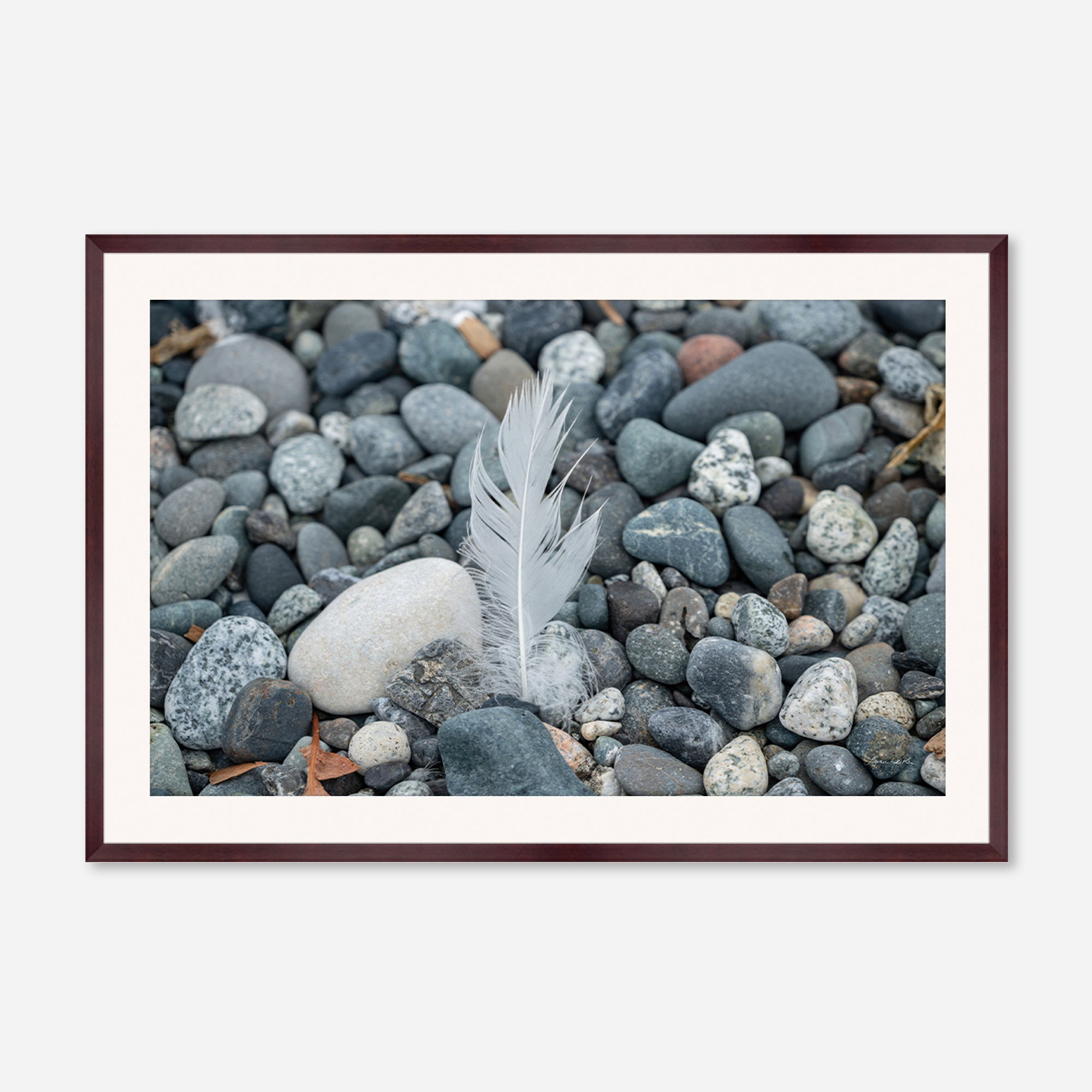 Feathers no. 4