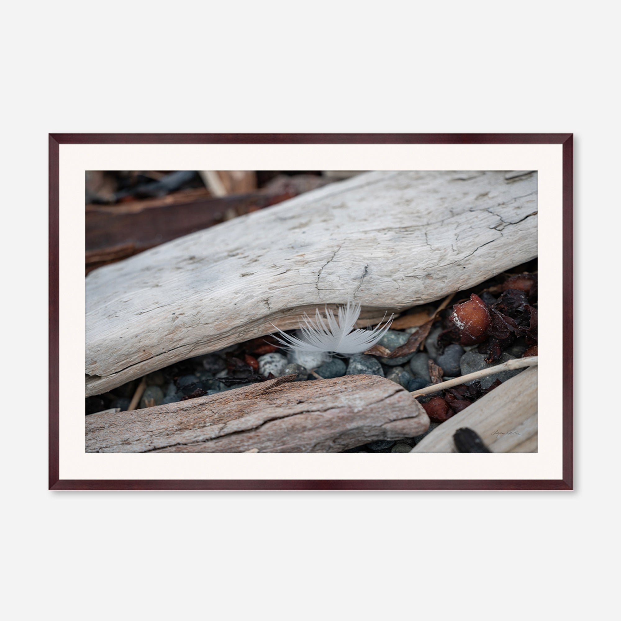Feathers no. 3