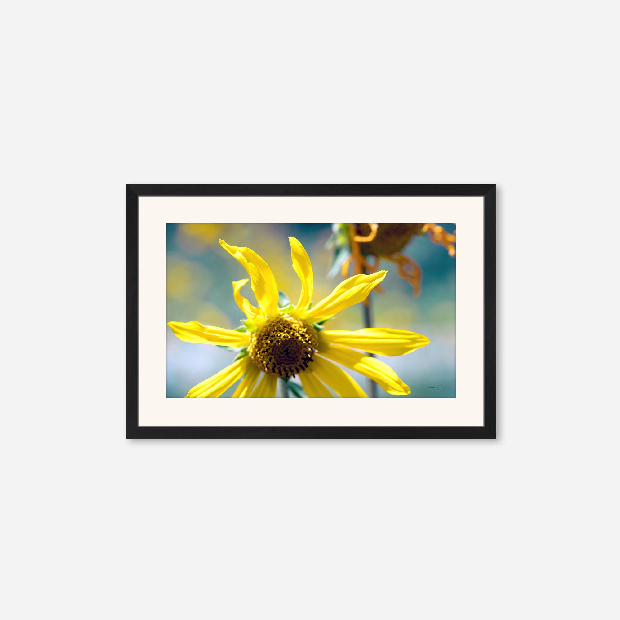 Flowers no. 6