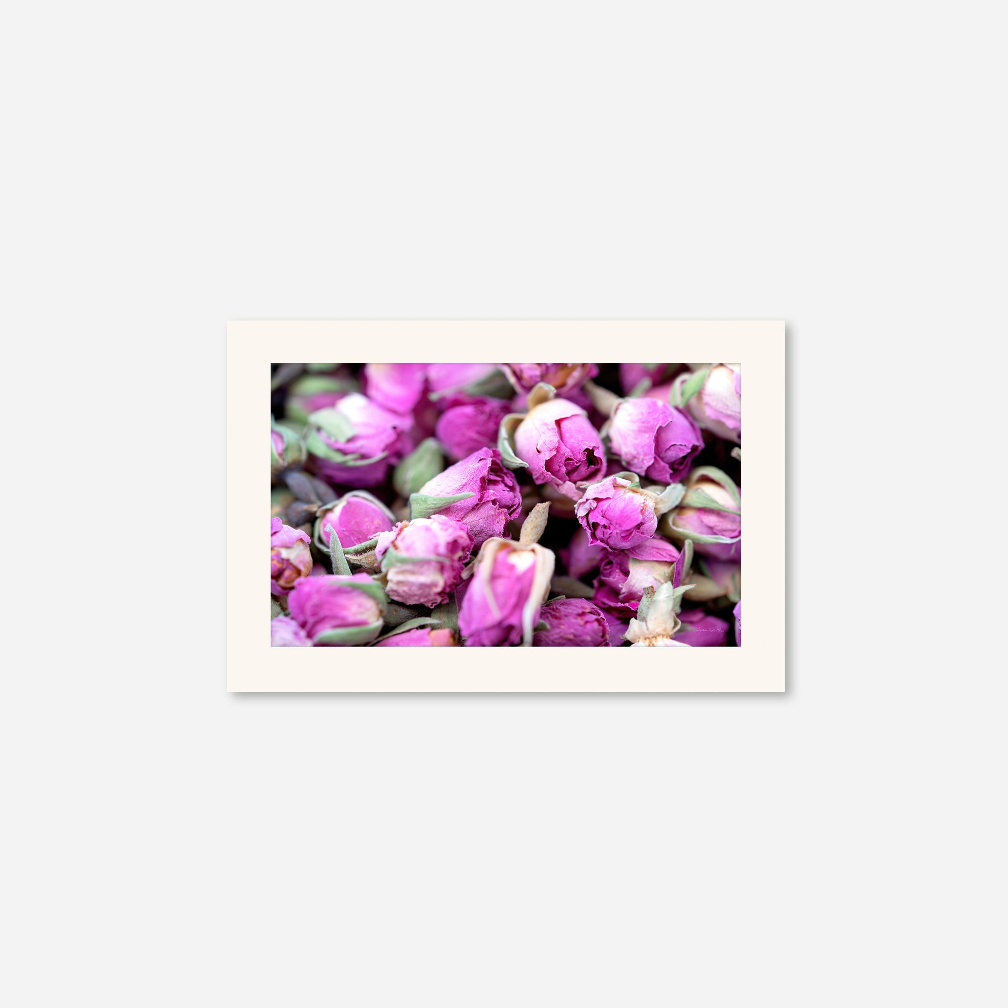 Flowers no. 4