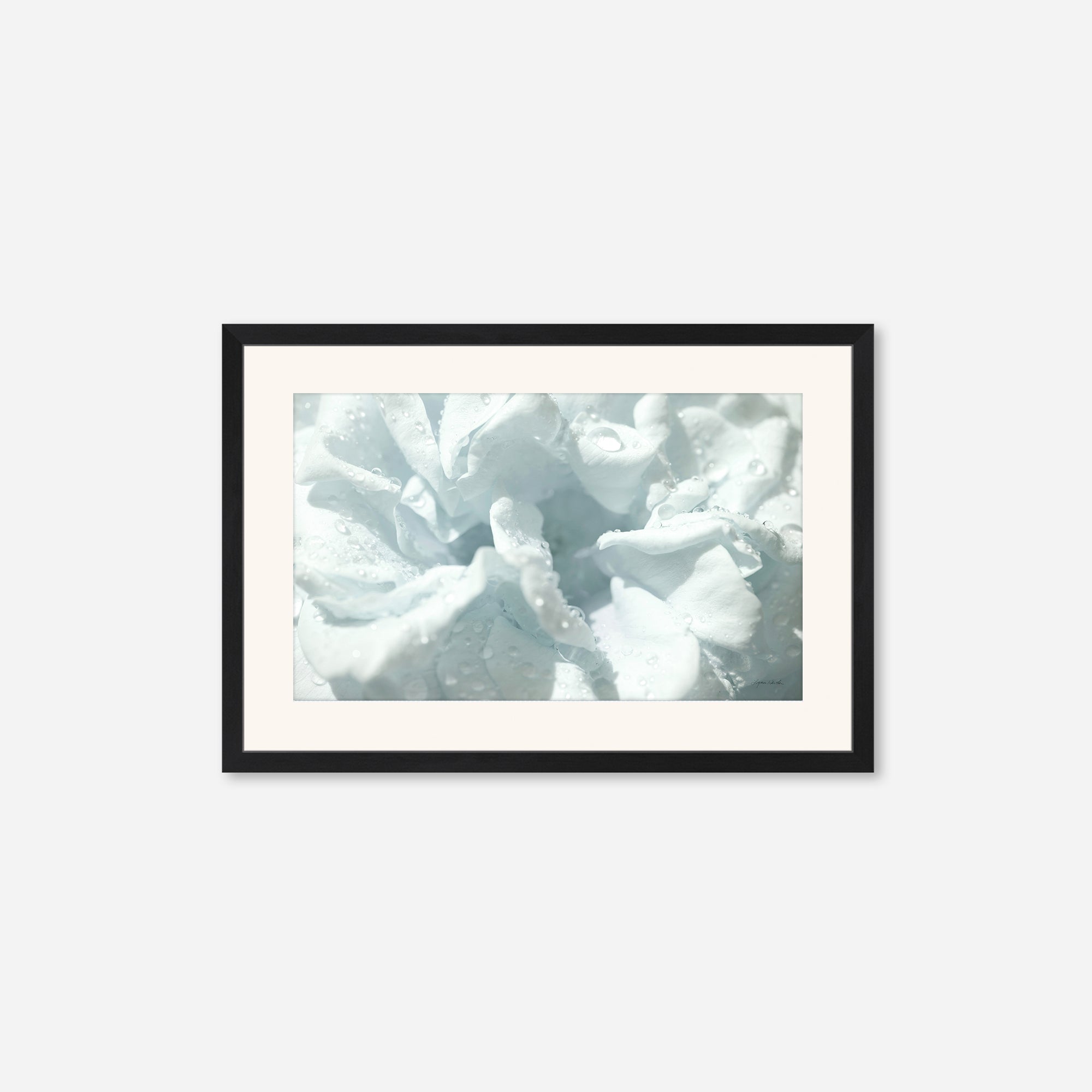 Flowers no. 3