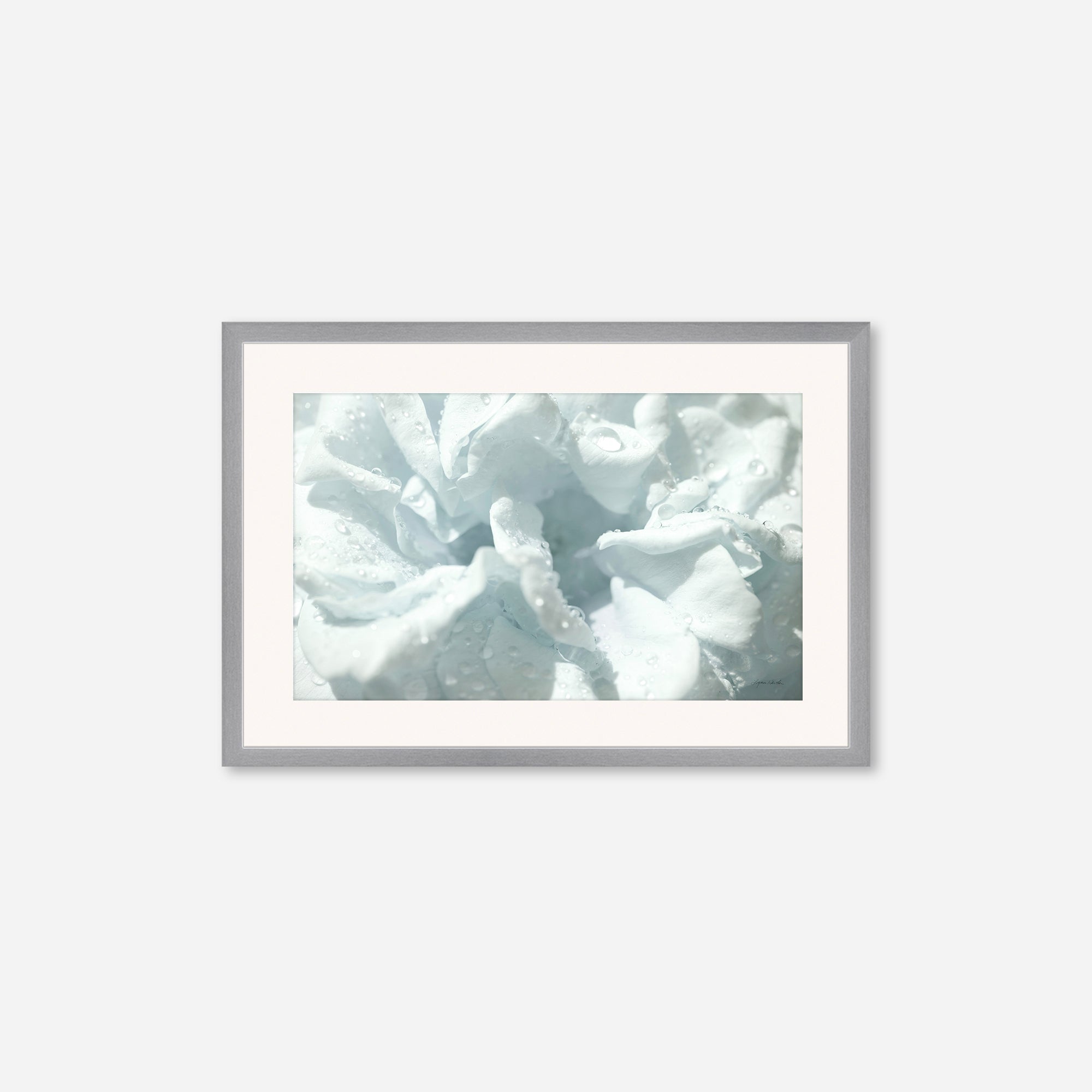 Flowers no. 3
