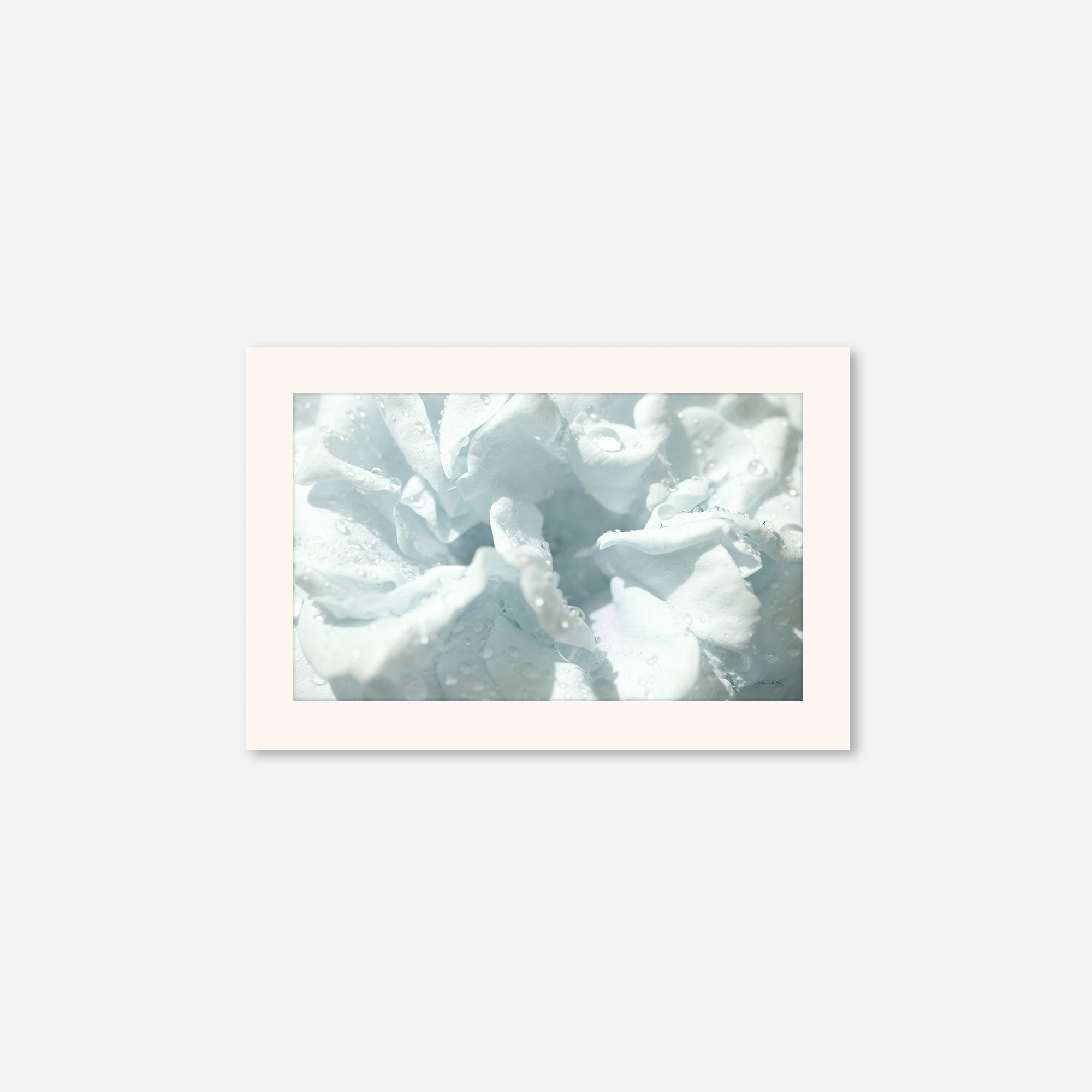 Flowers no. 3
