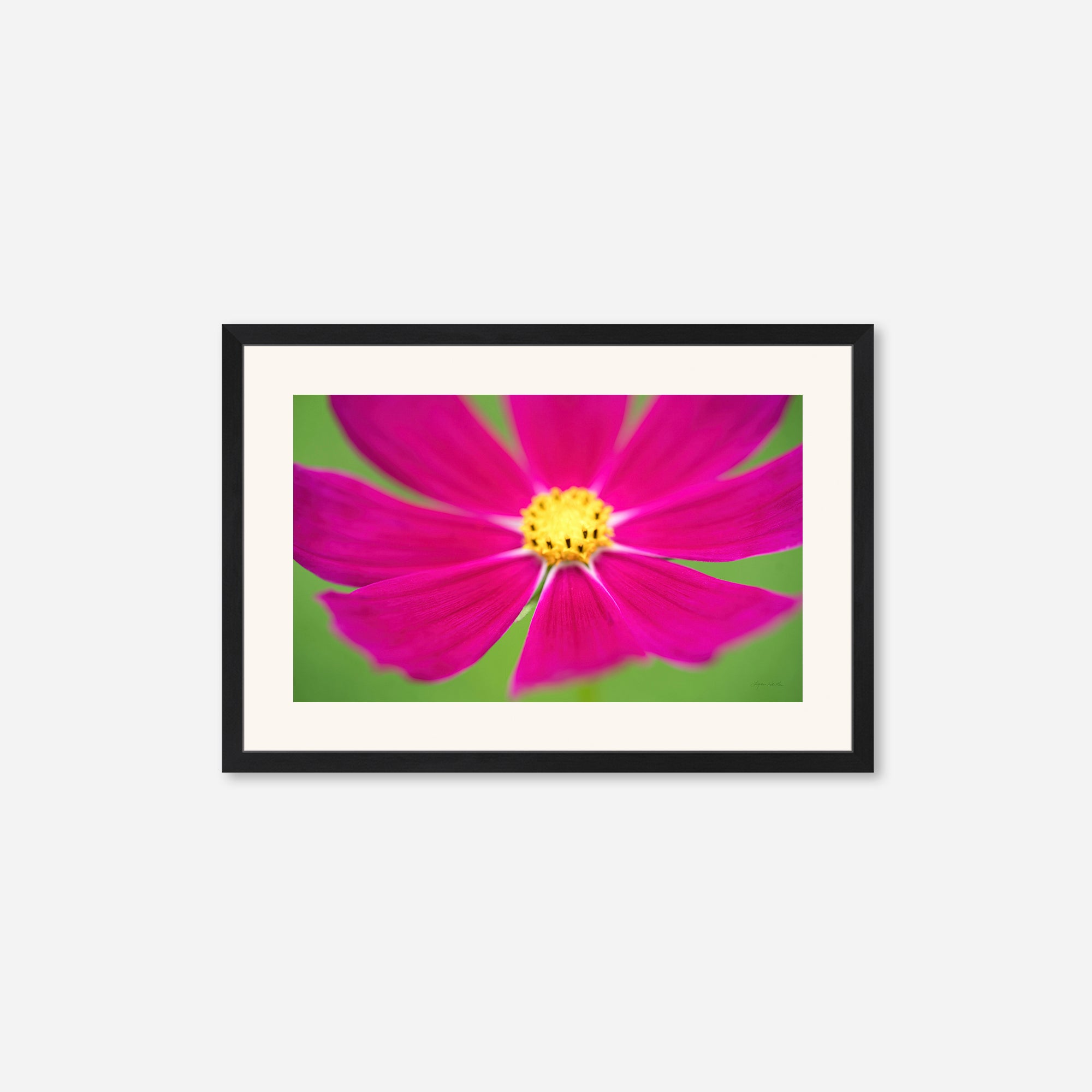 Flowers no. 1