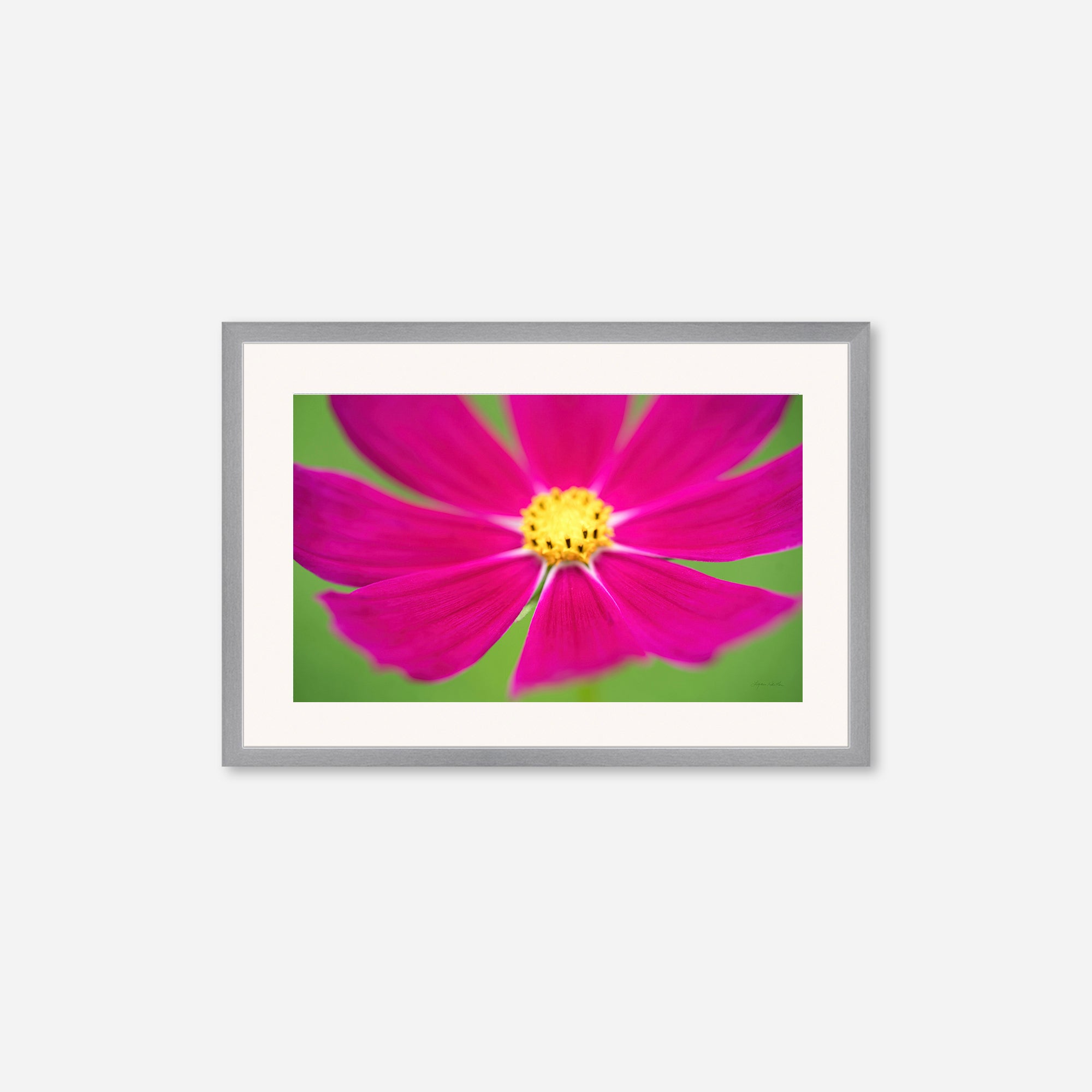 Flowers no. 1