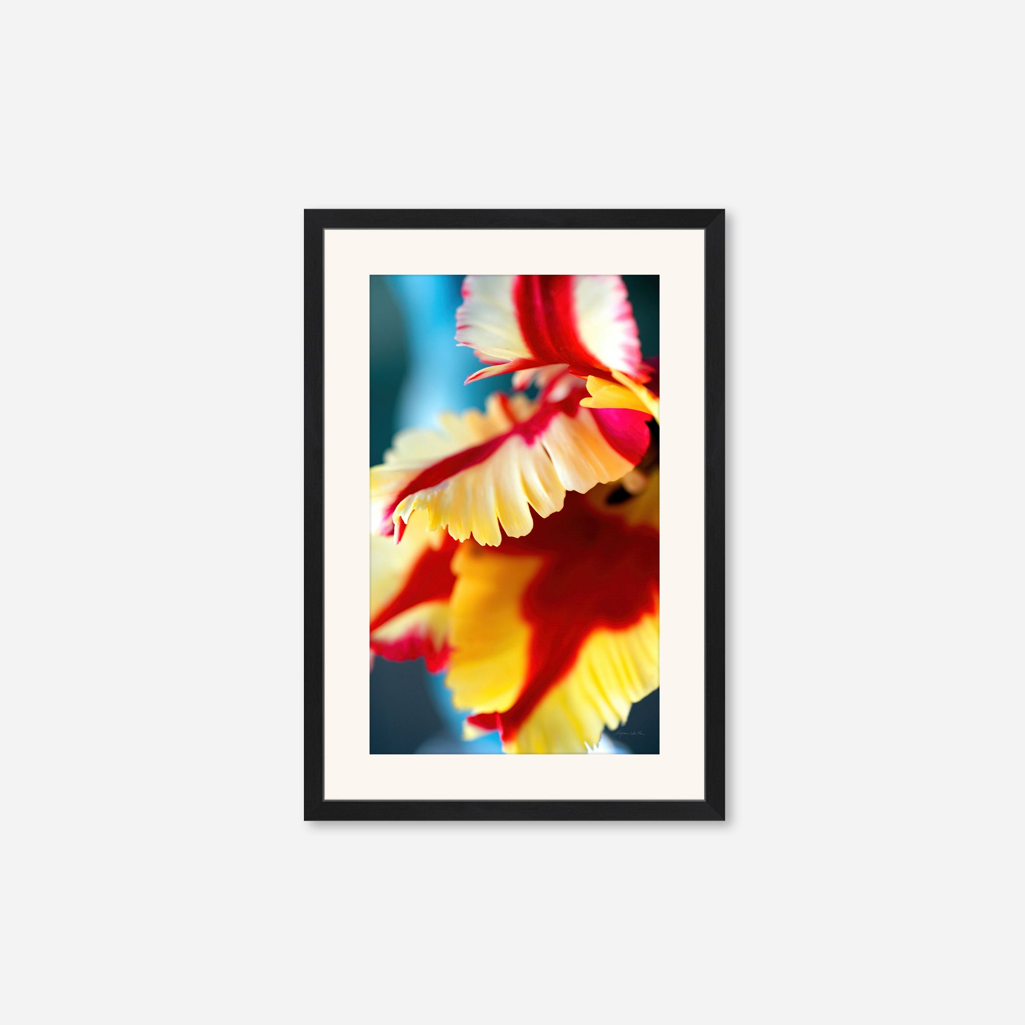 Flowers no. 5