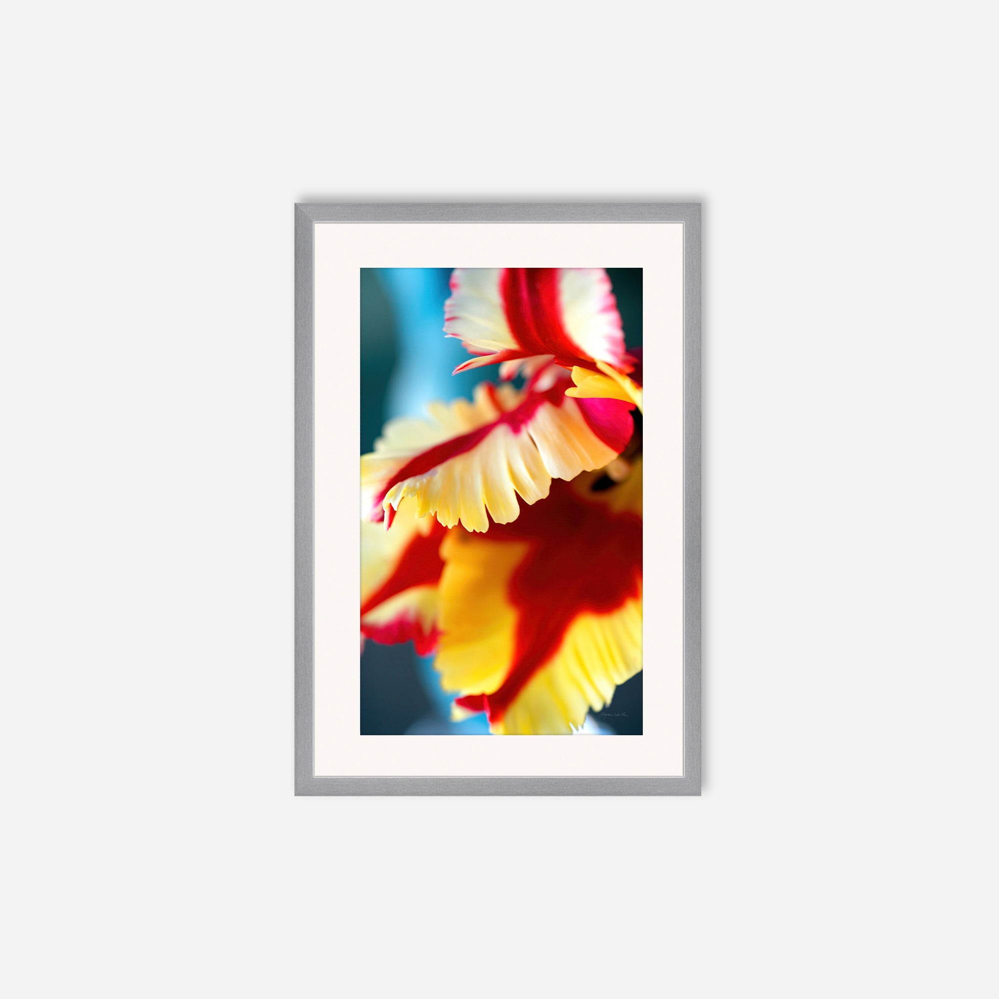 Flowers no. 5