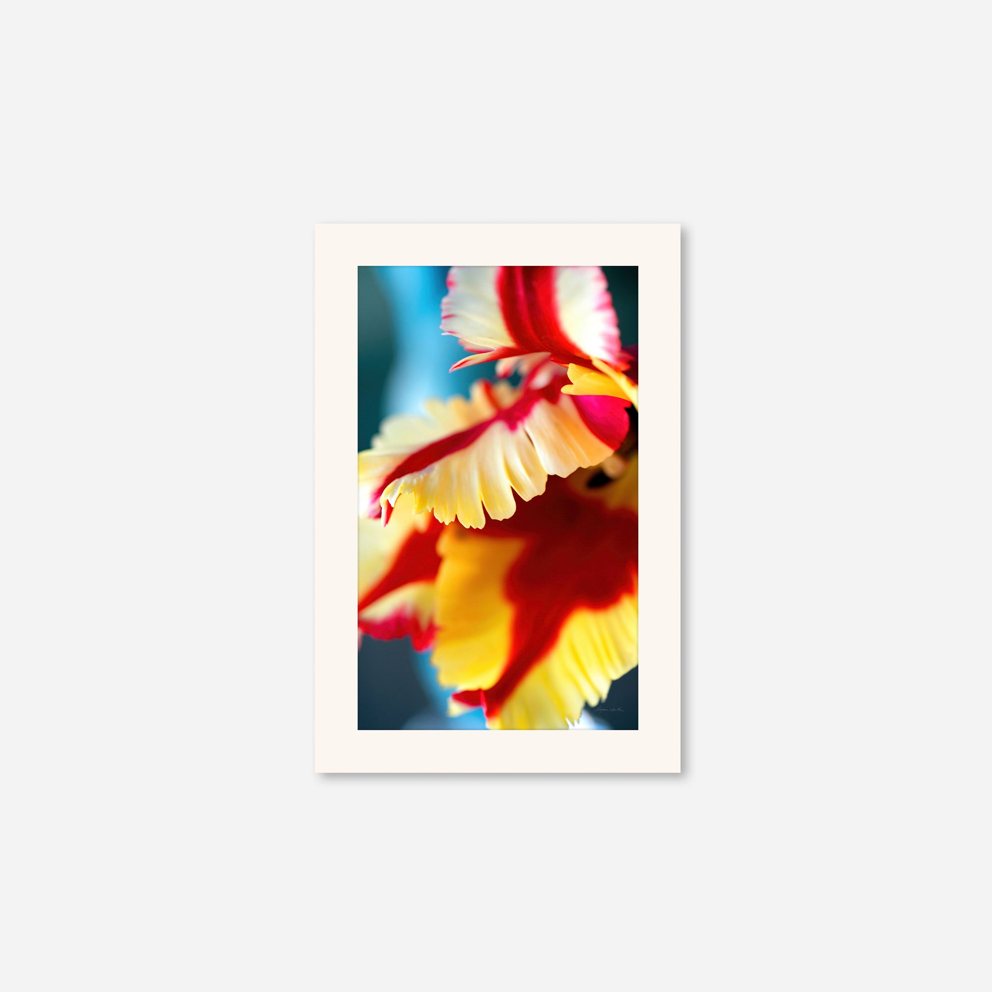 Flowers no. 5