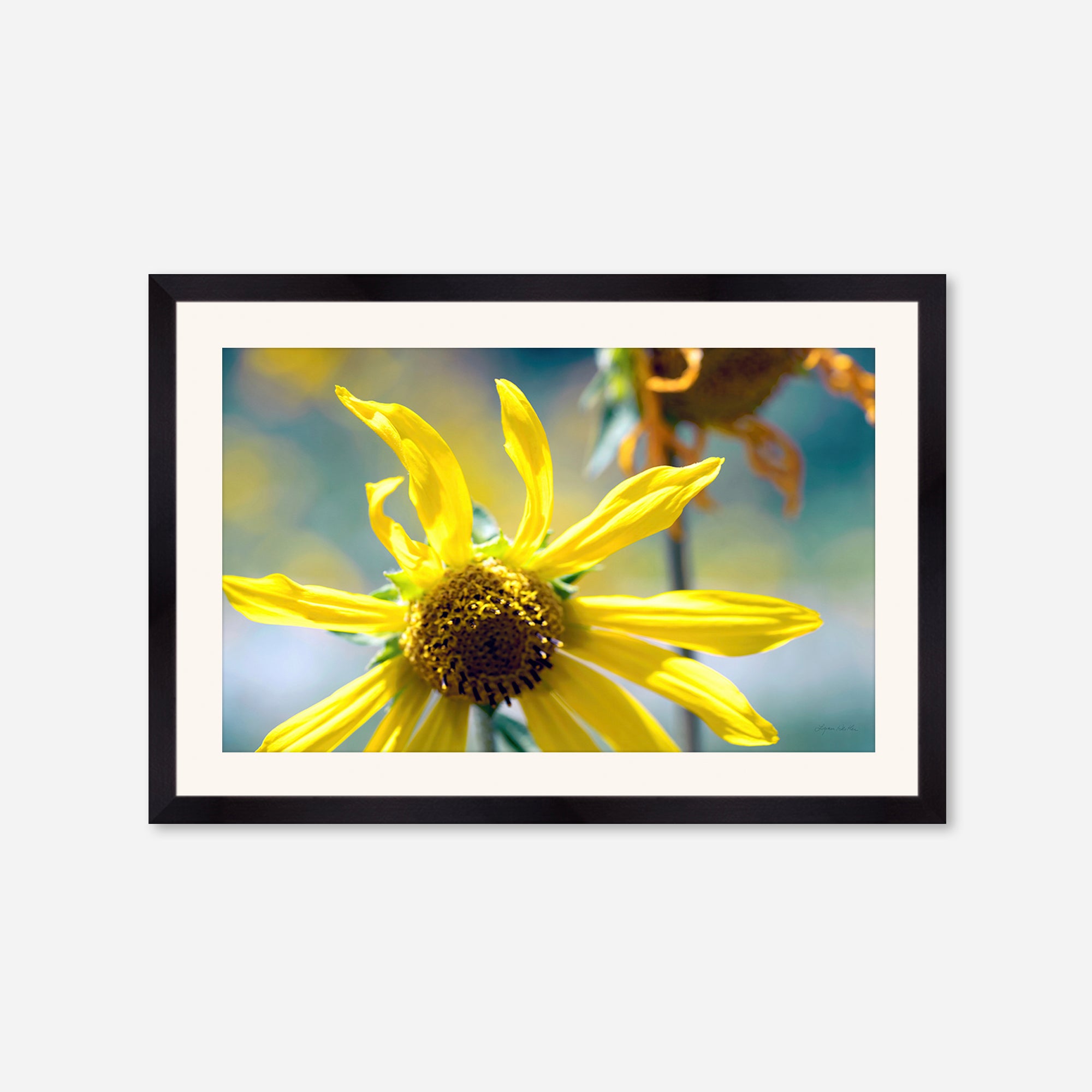 Flowers no. 6