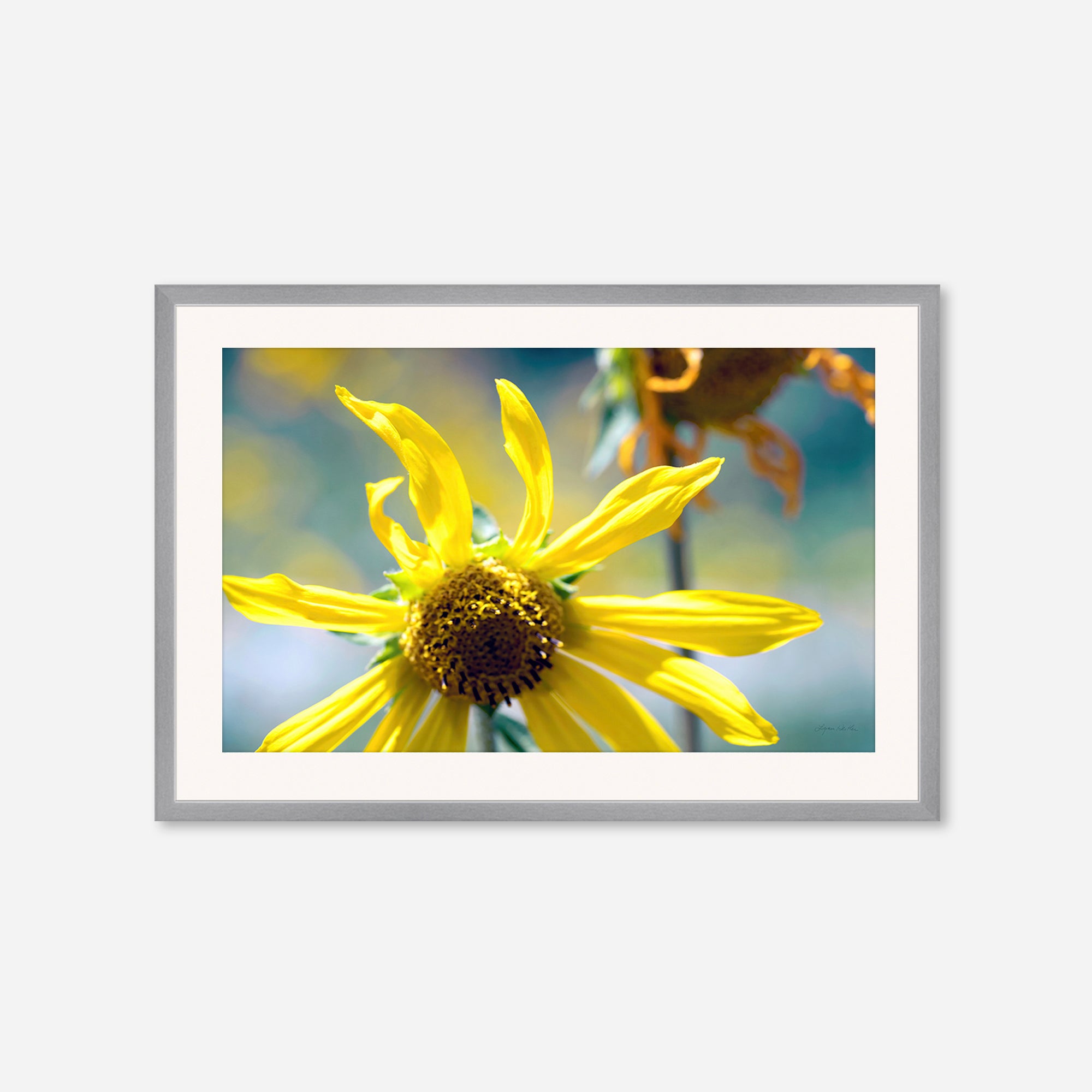 Flowers no. 6