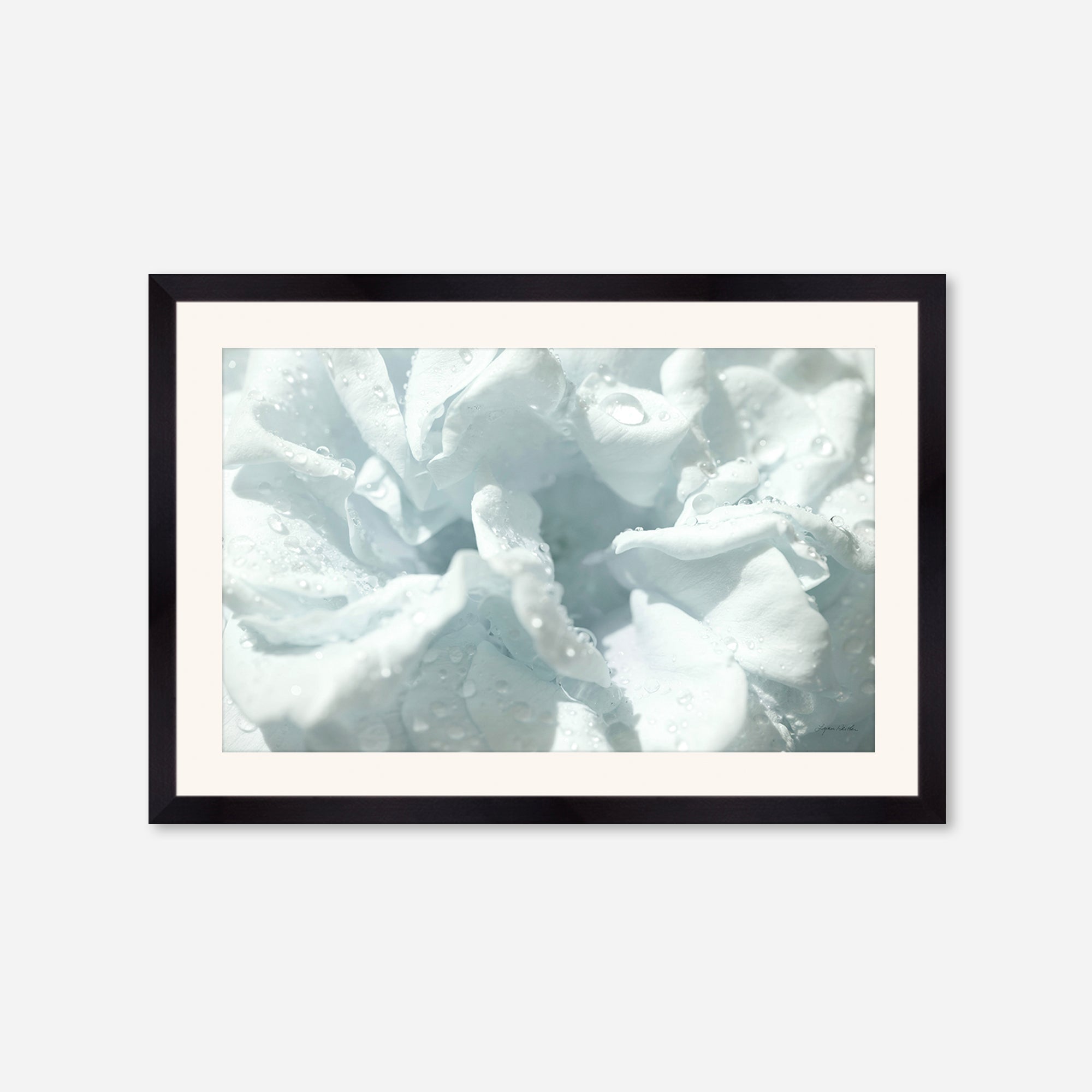 Flowers no. 3