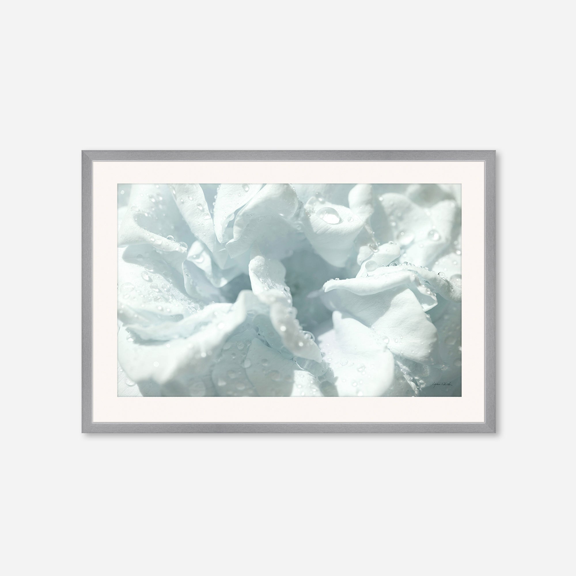 Flowers no. 3