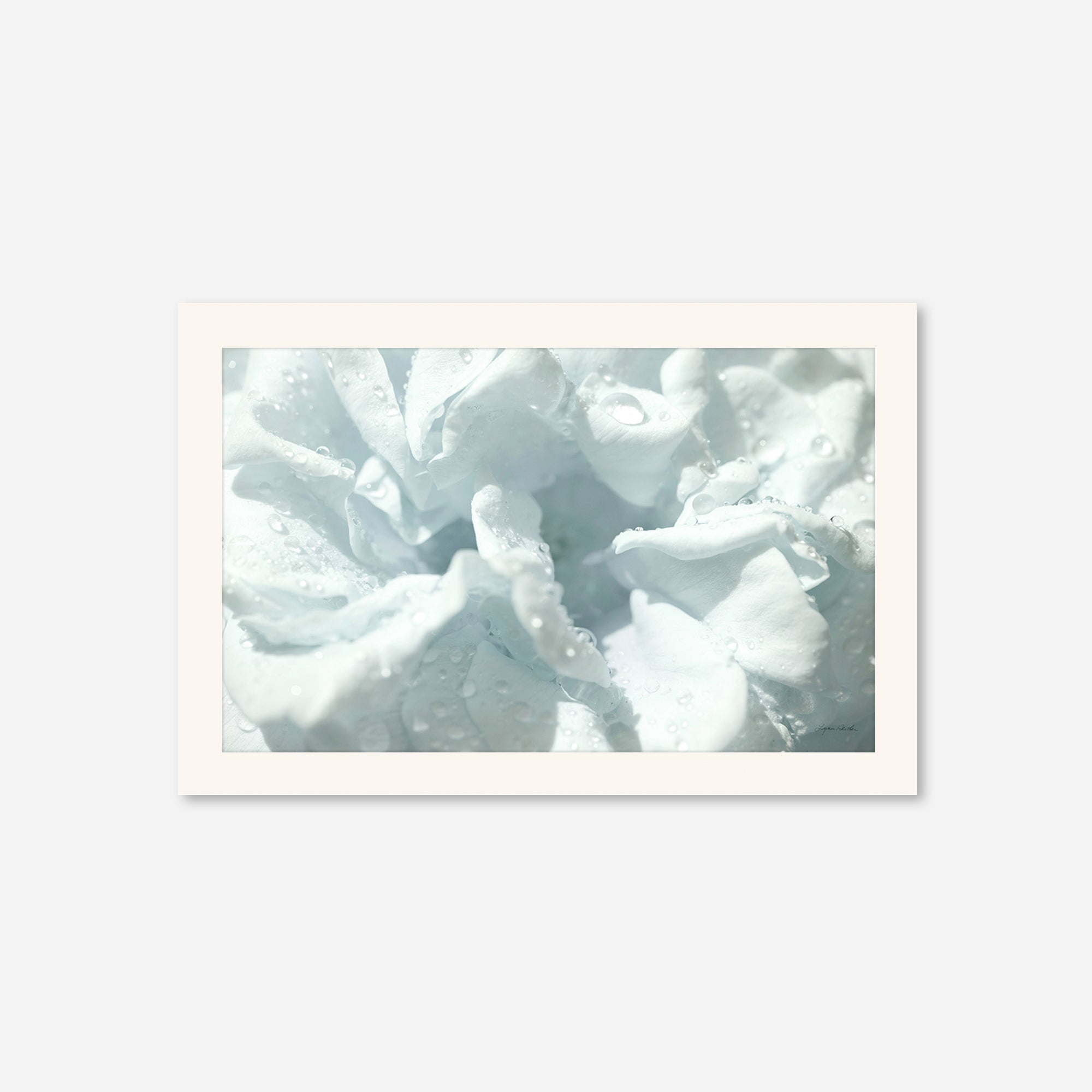 Flowers no. 3