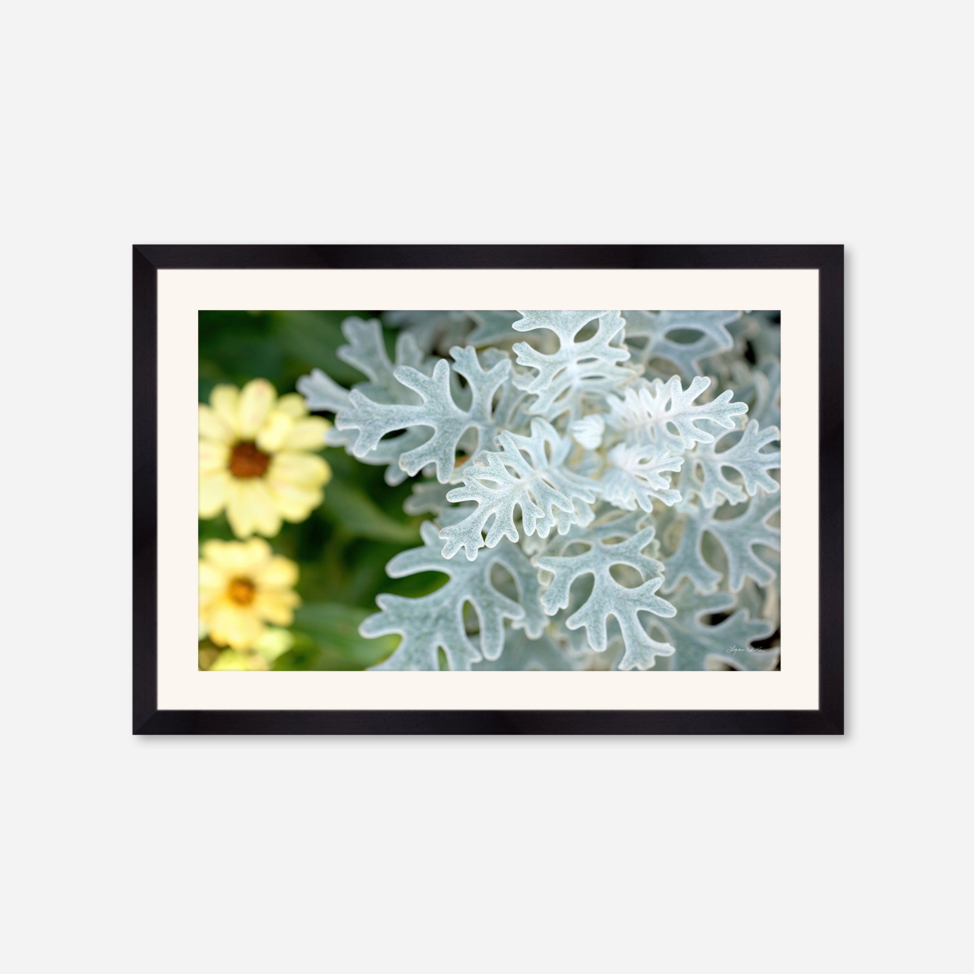 Flowers no. 2