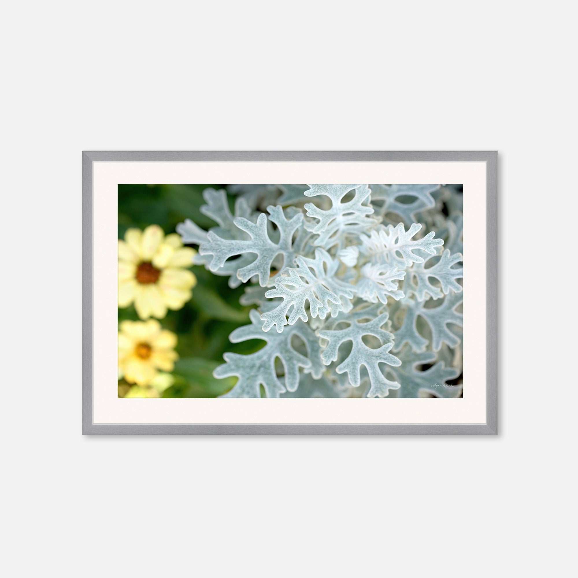 Flowers no. 2