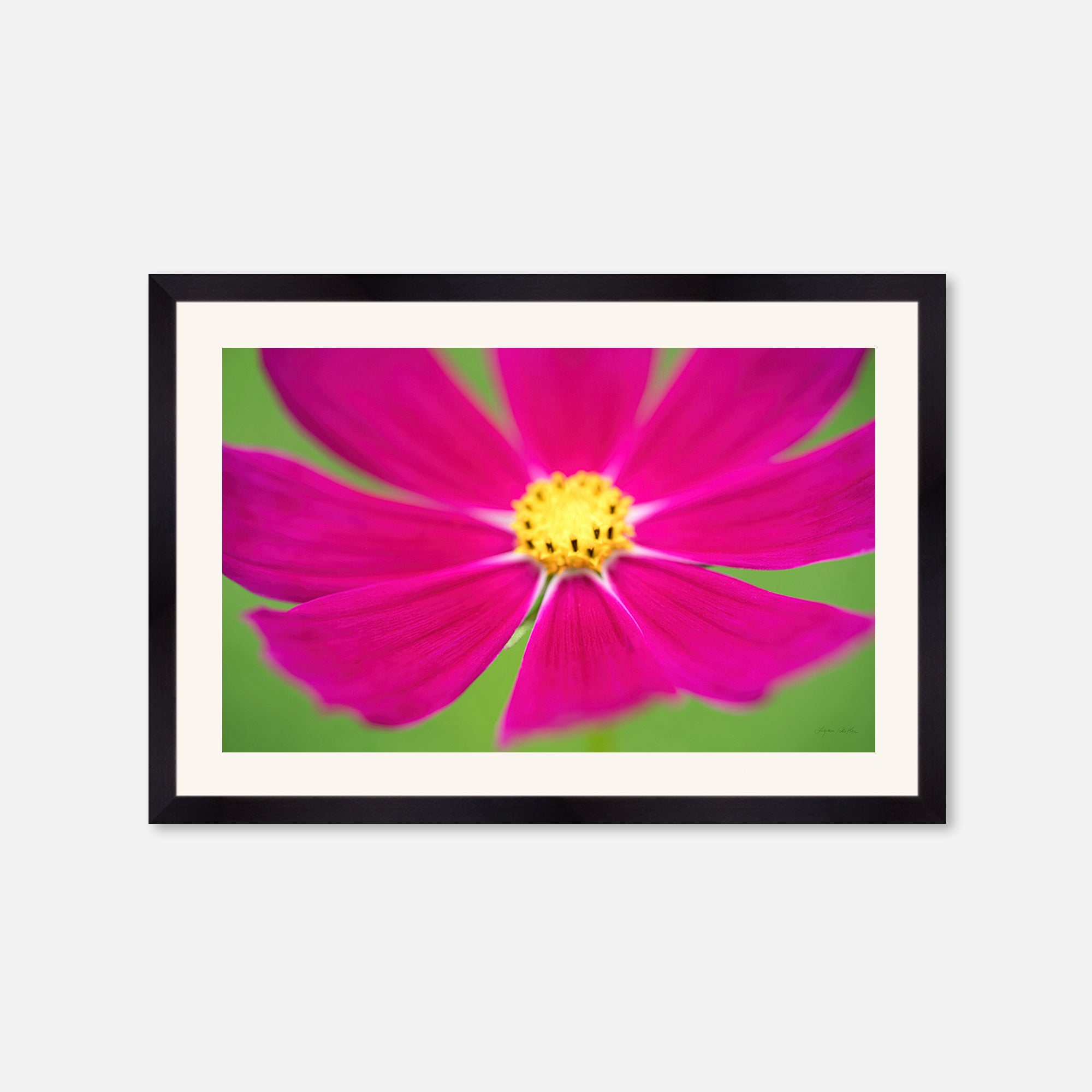 Flowers no. 1