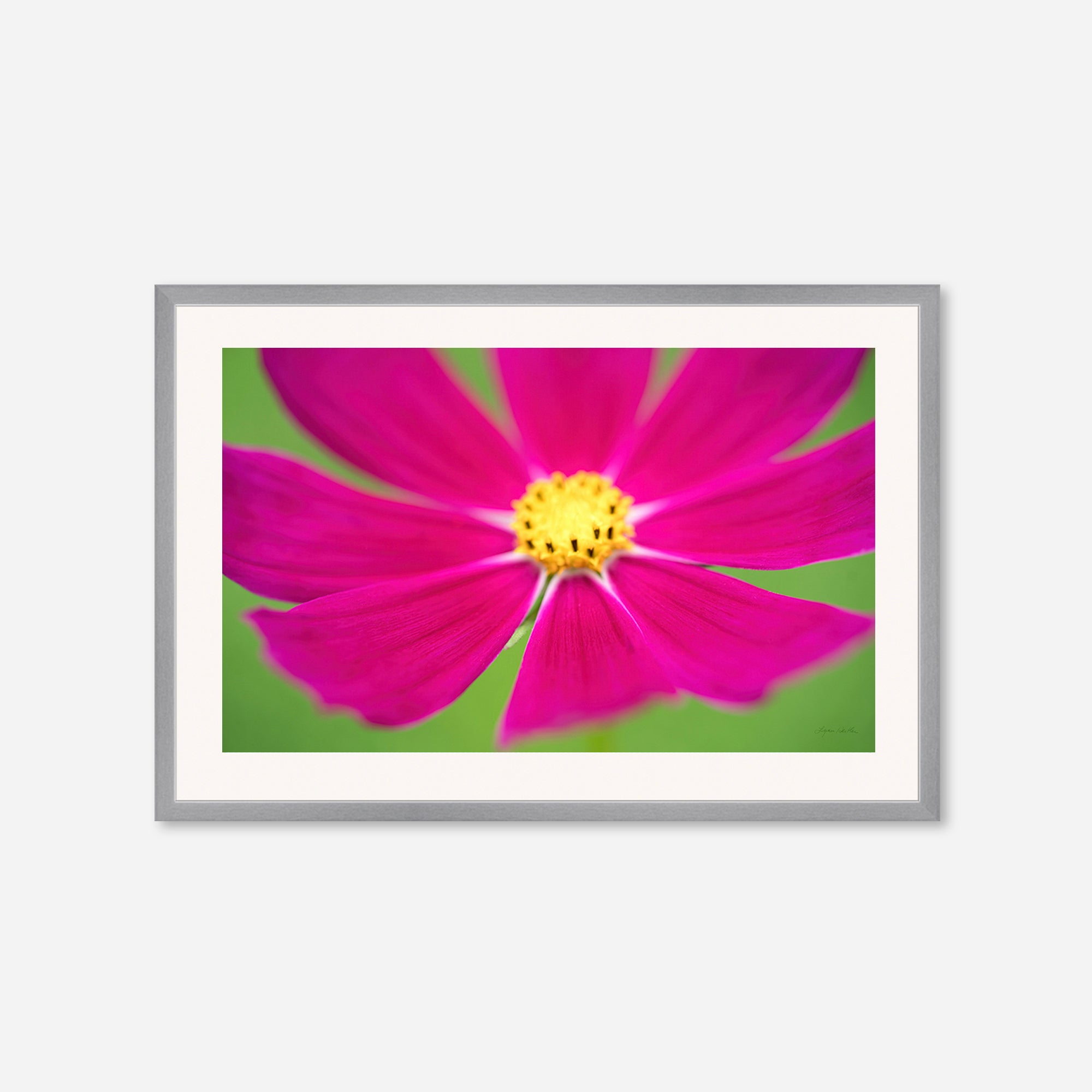 Flowers no. 1