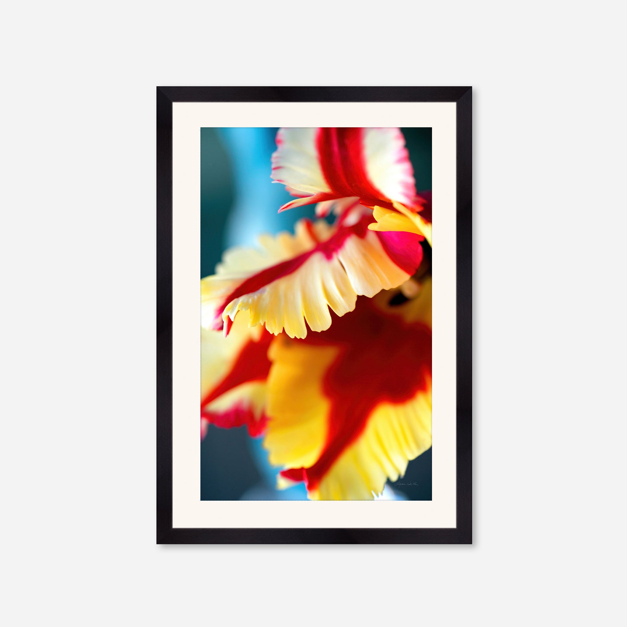 Flowers no. 5