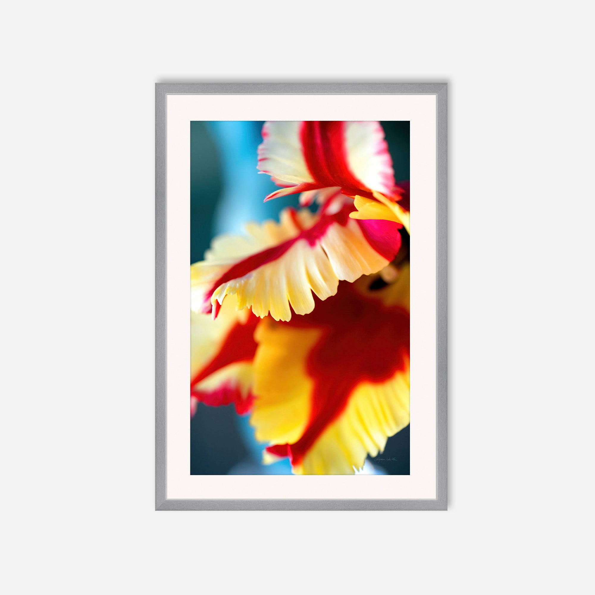Flowers no. 5