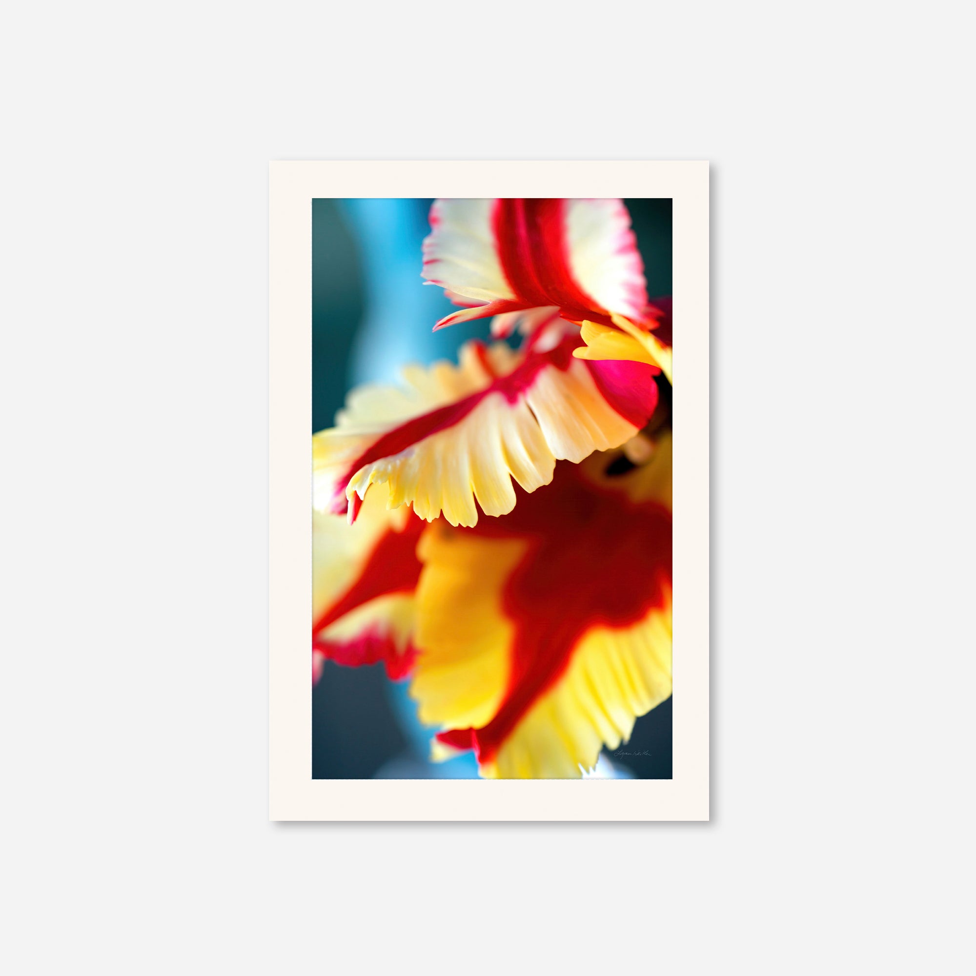 Flowers no. 5