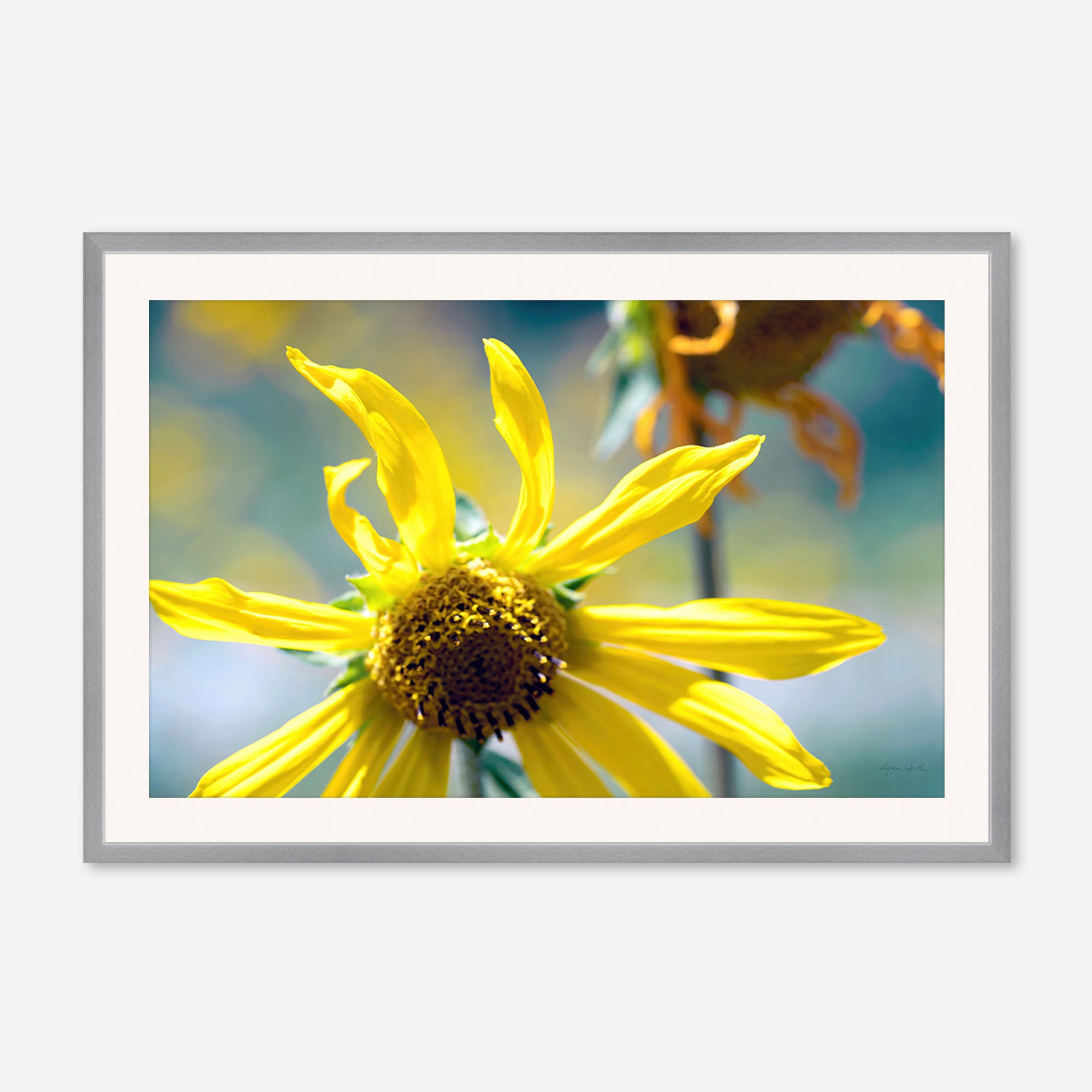 Flowers no. 6