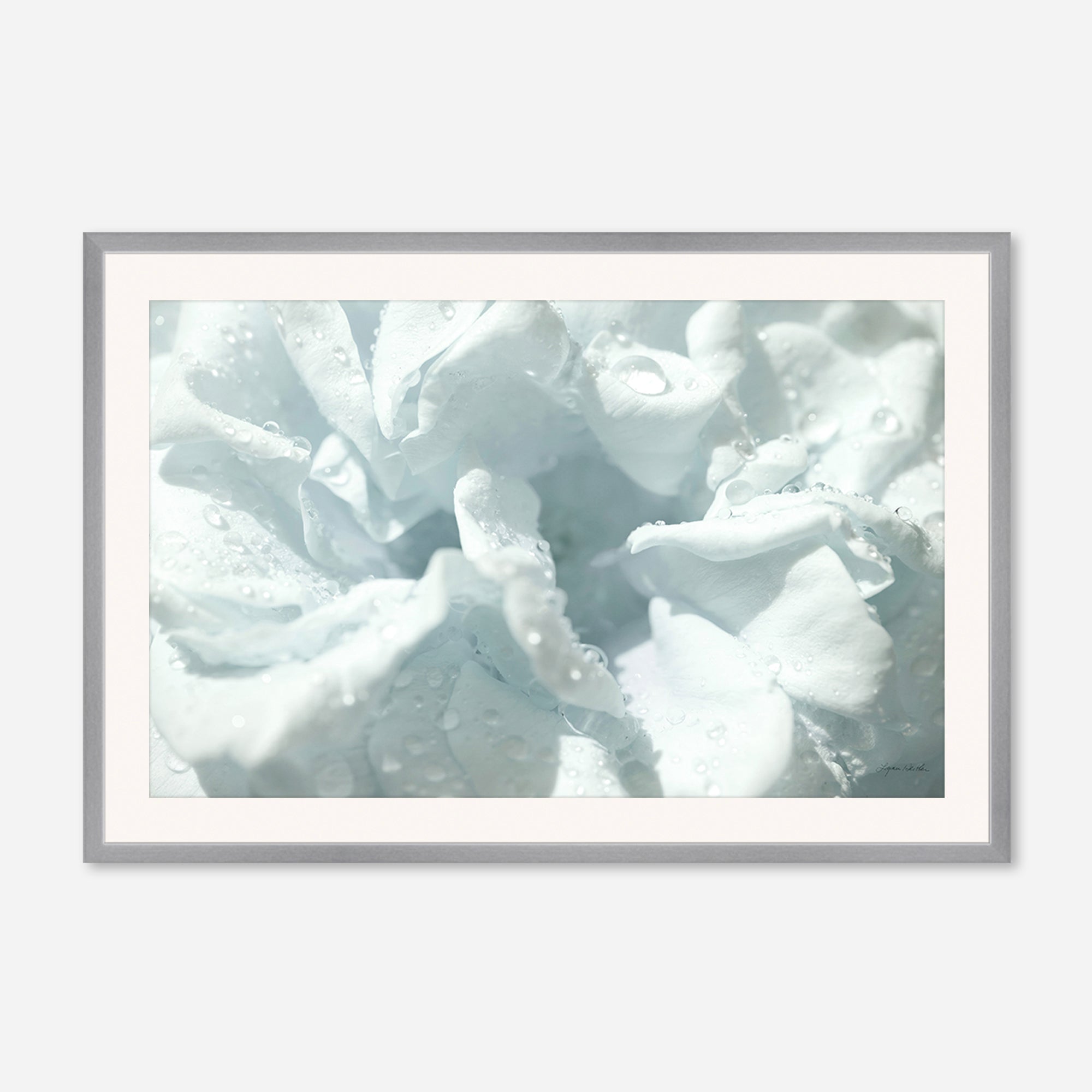 Flowers no. 3