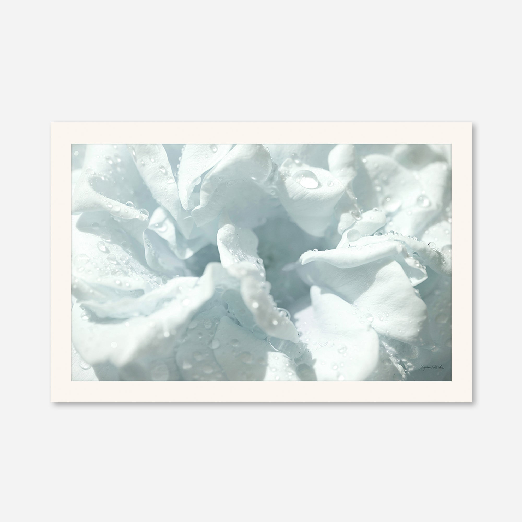 Flowers no. 3