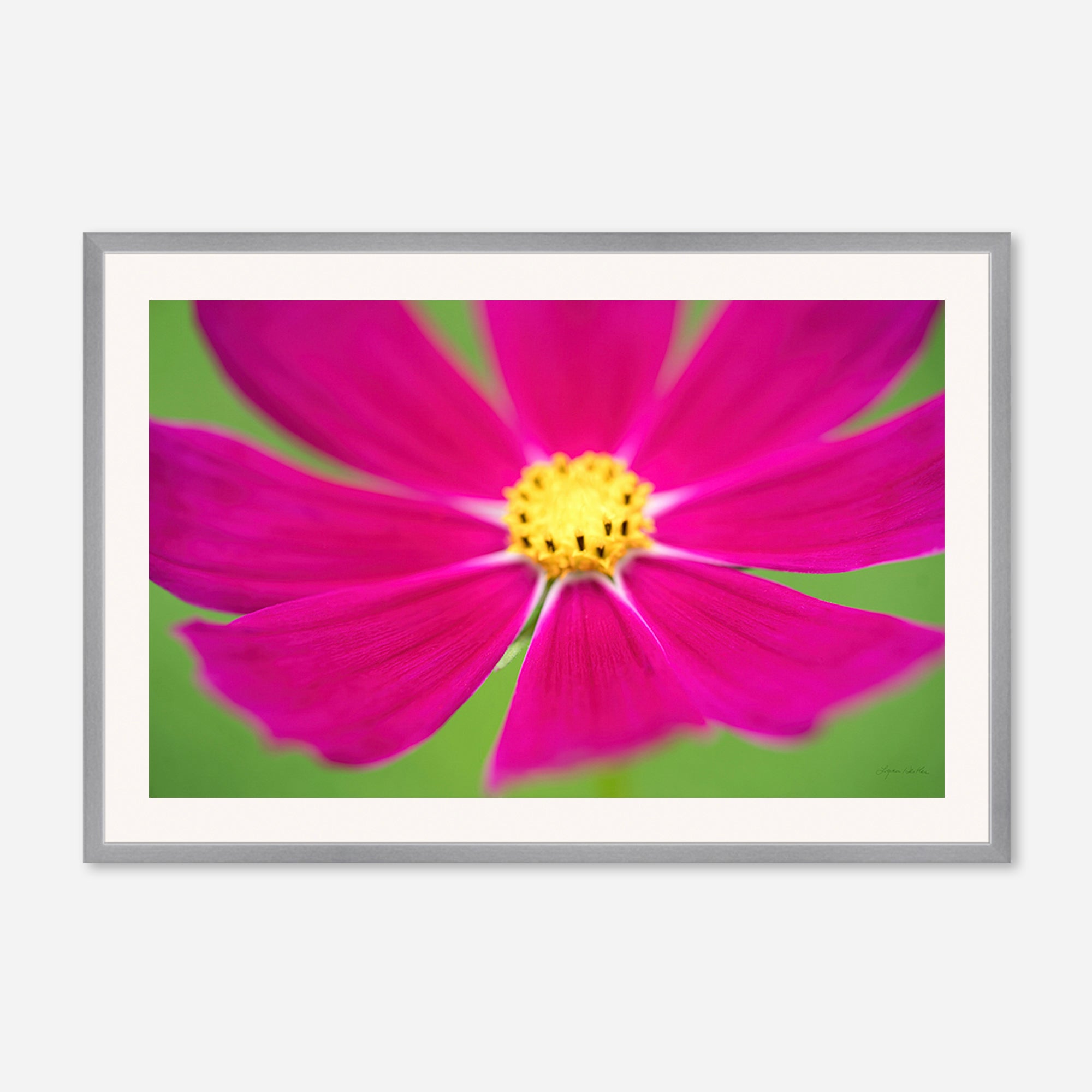 Flowers no. 1