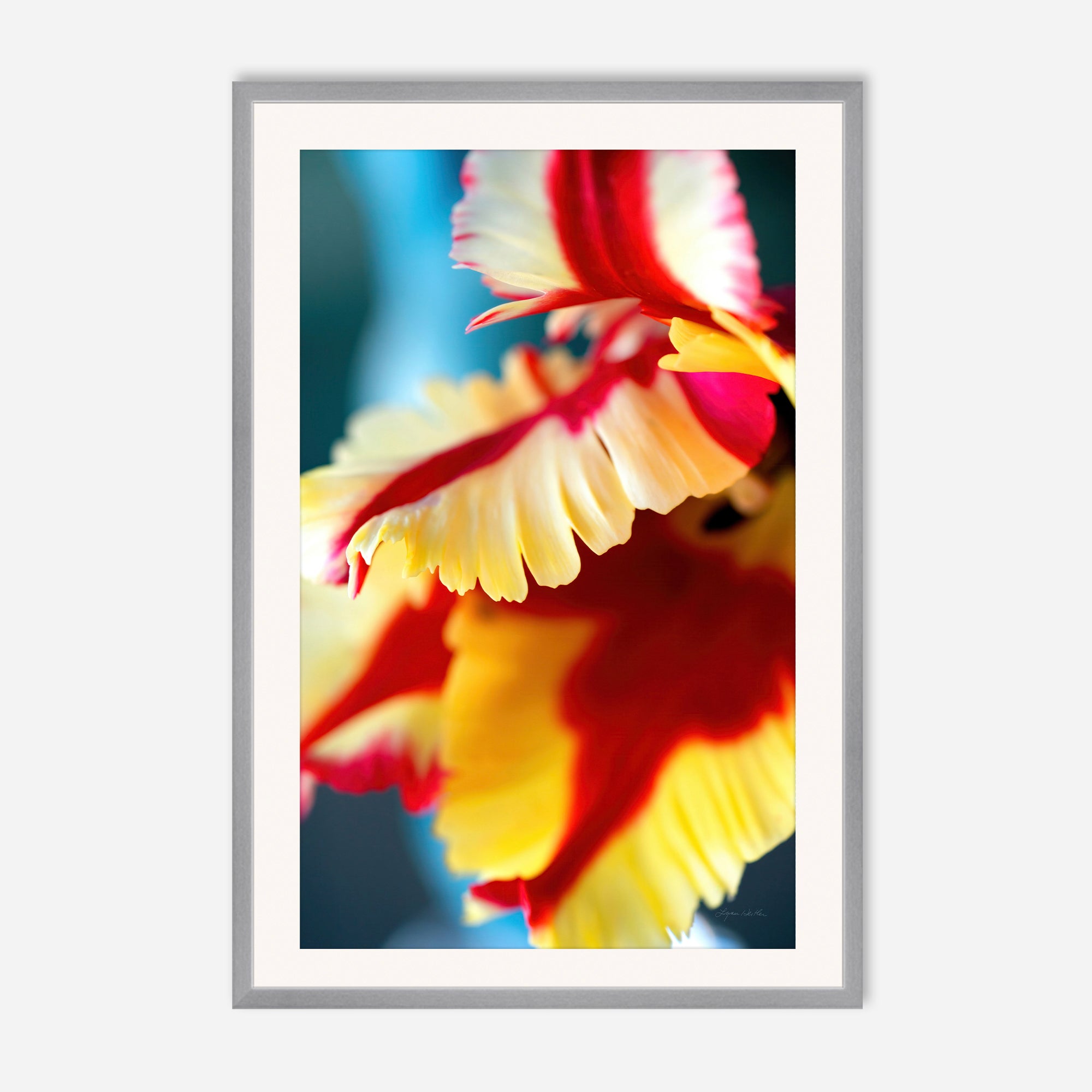 Flowers no. 5